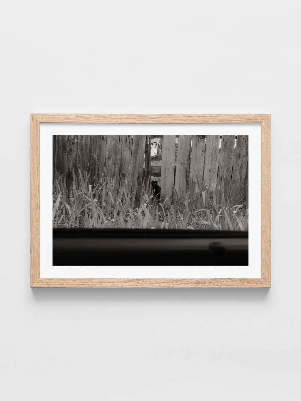 Poppy Steer - Untitled 2- Farsickness
