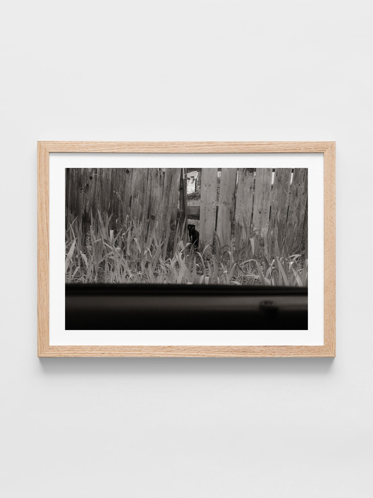 Poppy Steer - Untitled 2- Farsickness
