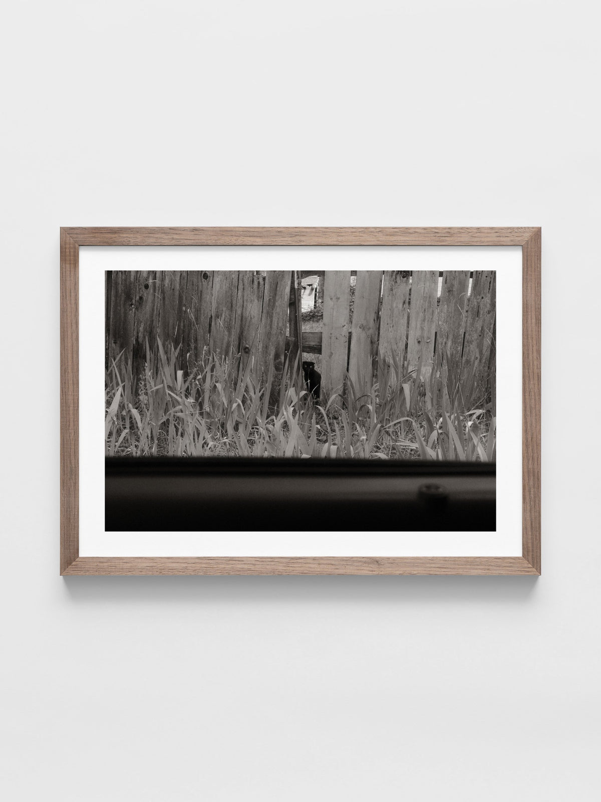Poppy Steer - Untitled 2- Farsickness