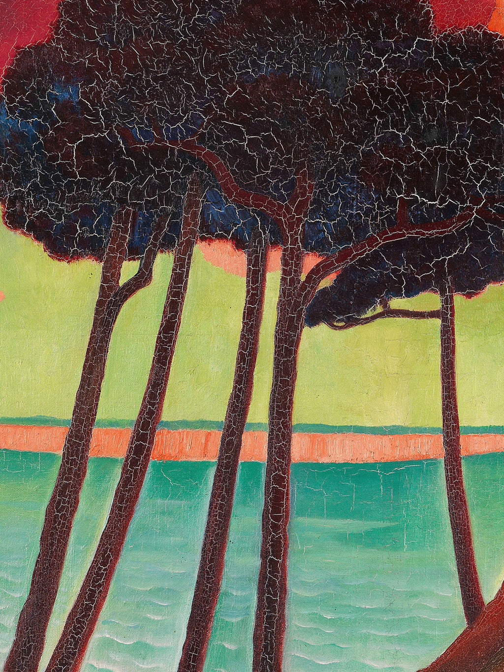 Gustav Wunderwald - Kiefern mit roter Wolke