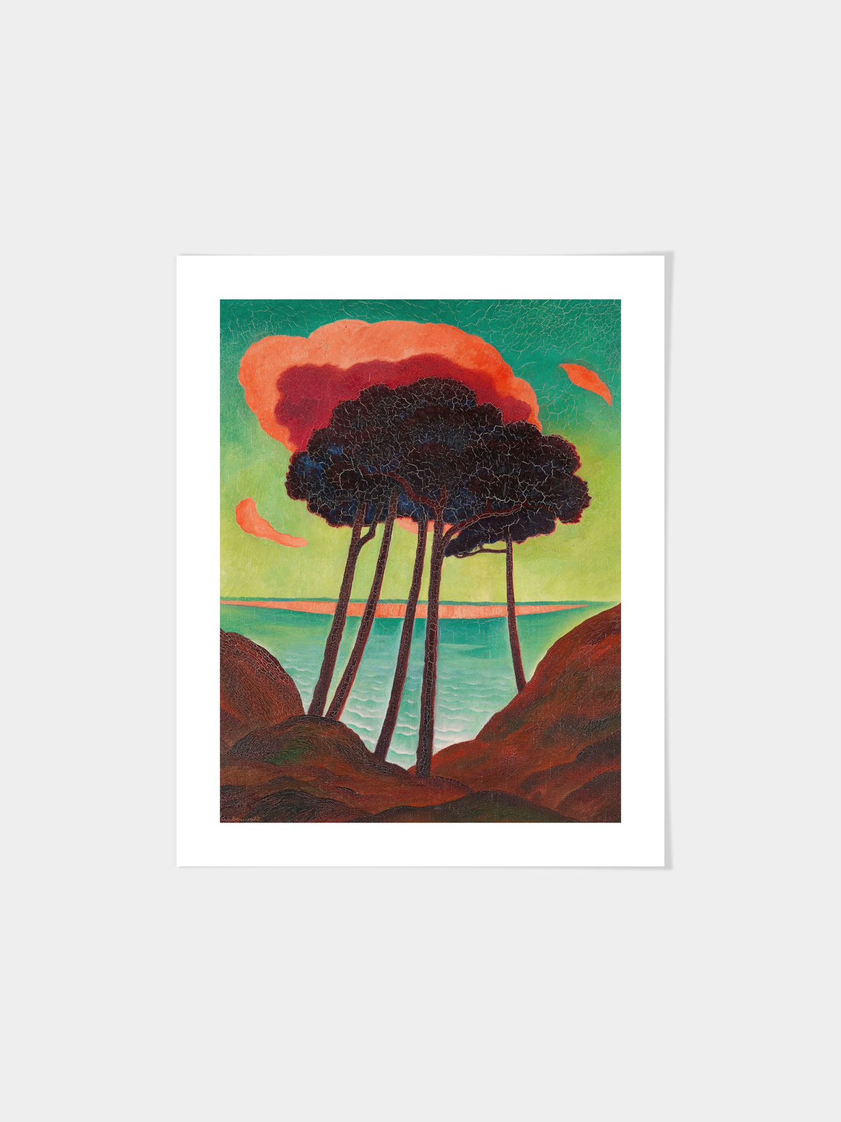Kiefern mit roter Wolke