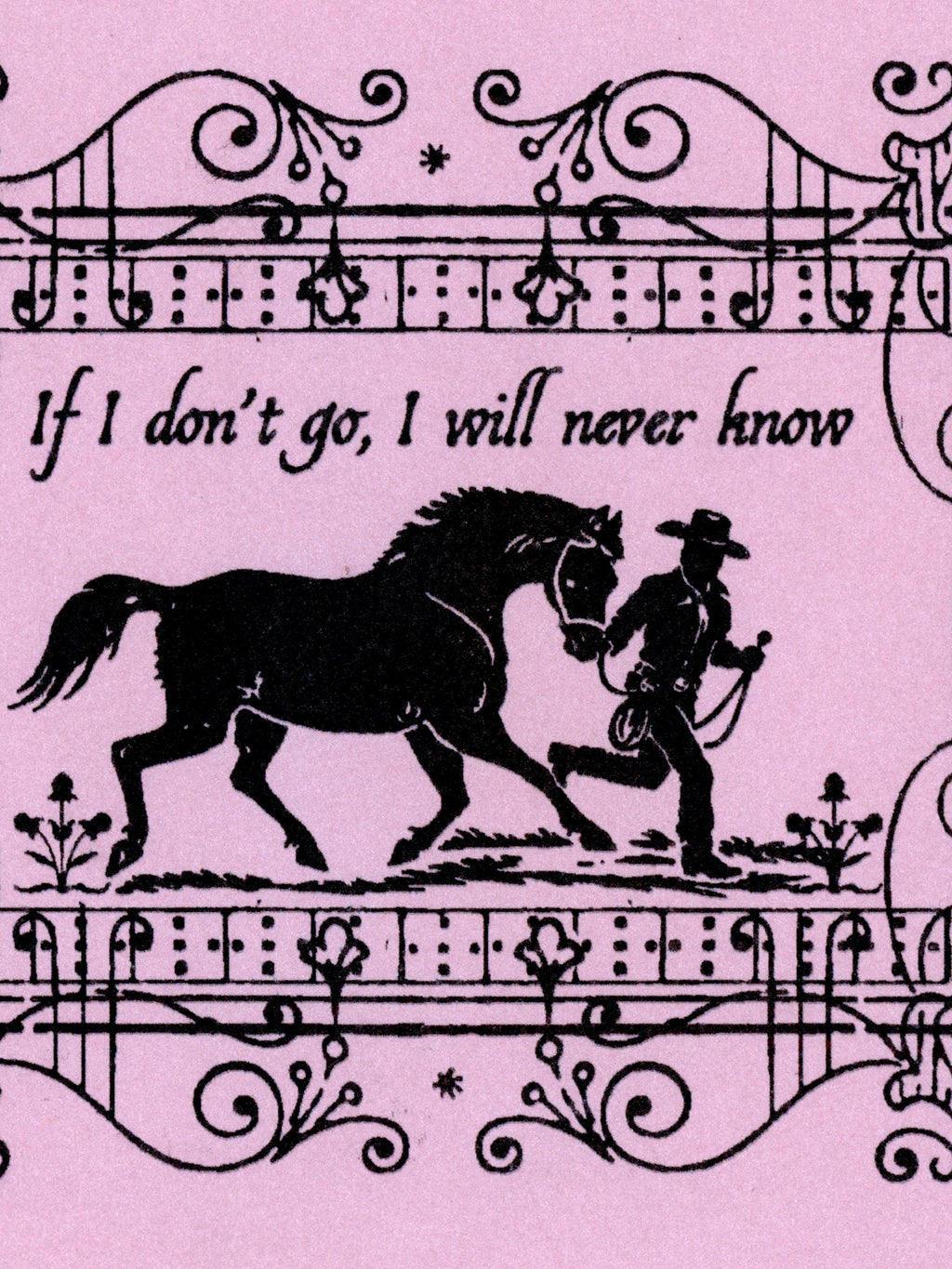 Jordan Schiffer - Cowboy Run (Pink)