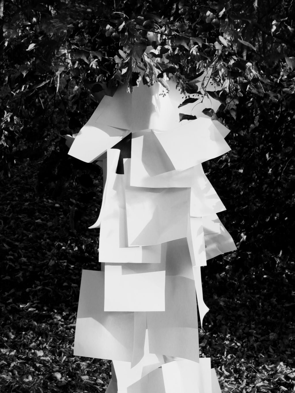 Yura Taralov - Paper