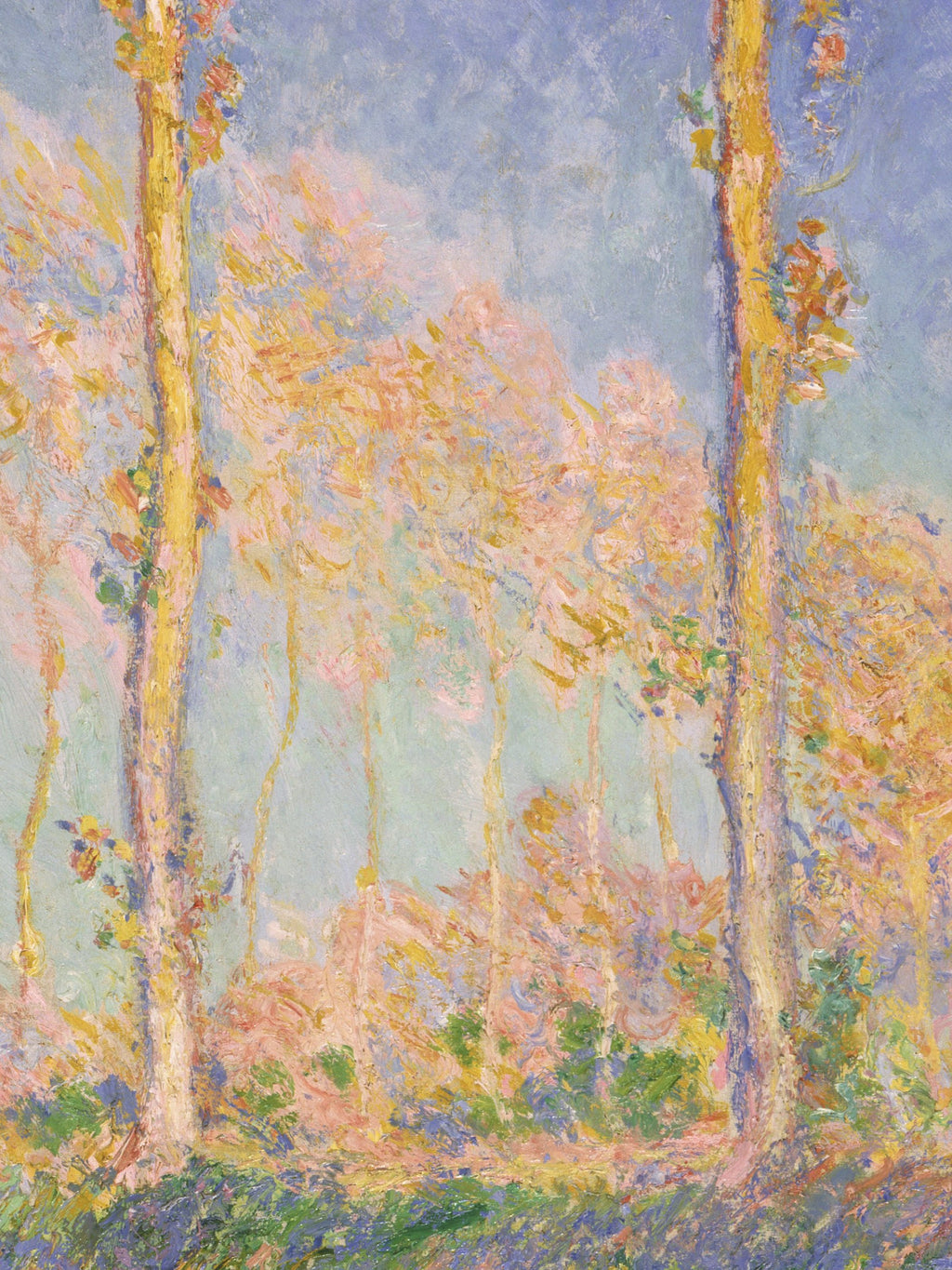 Poplars