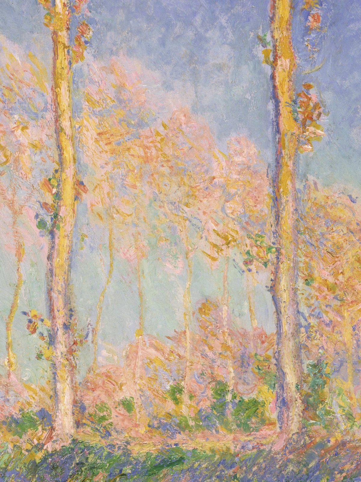 Poplars