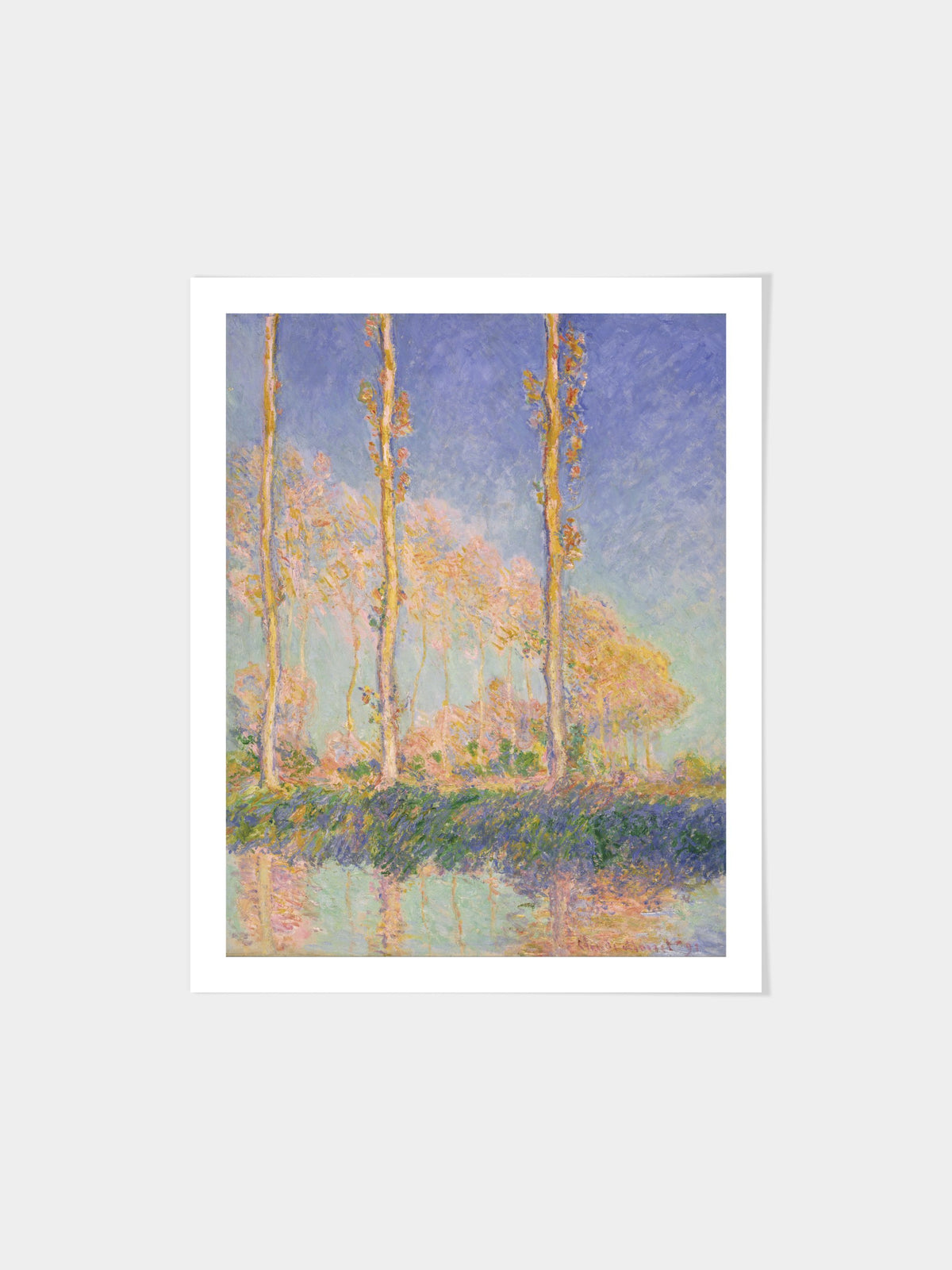 Poplars