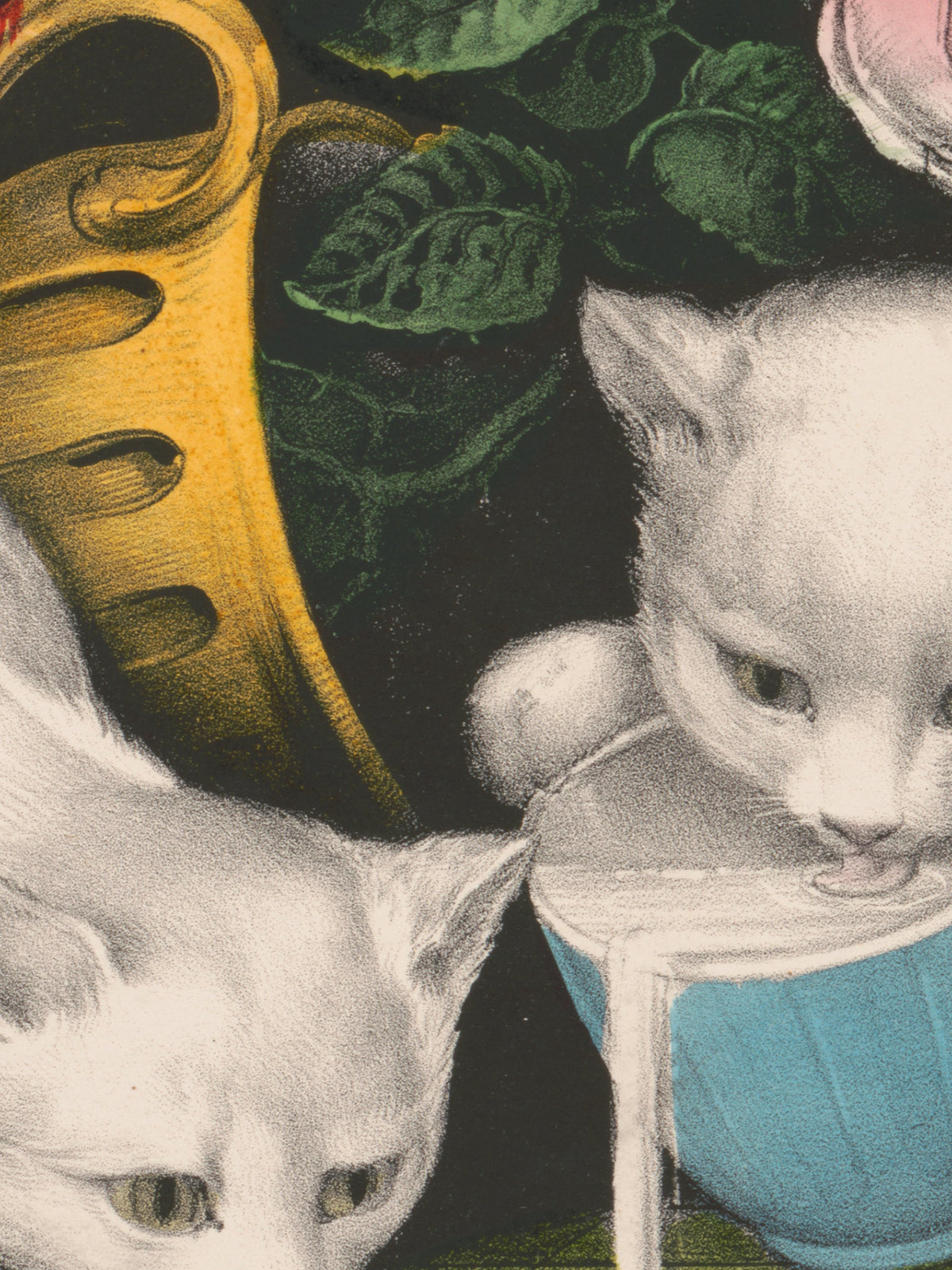 Little white kitties; into mischief