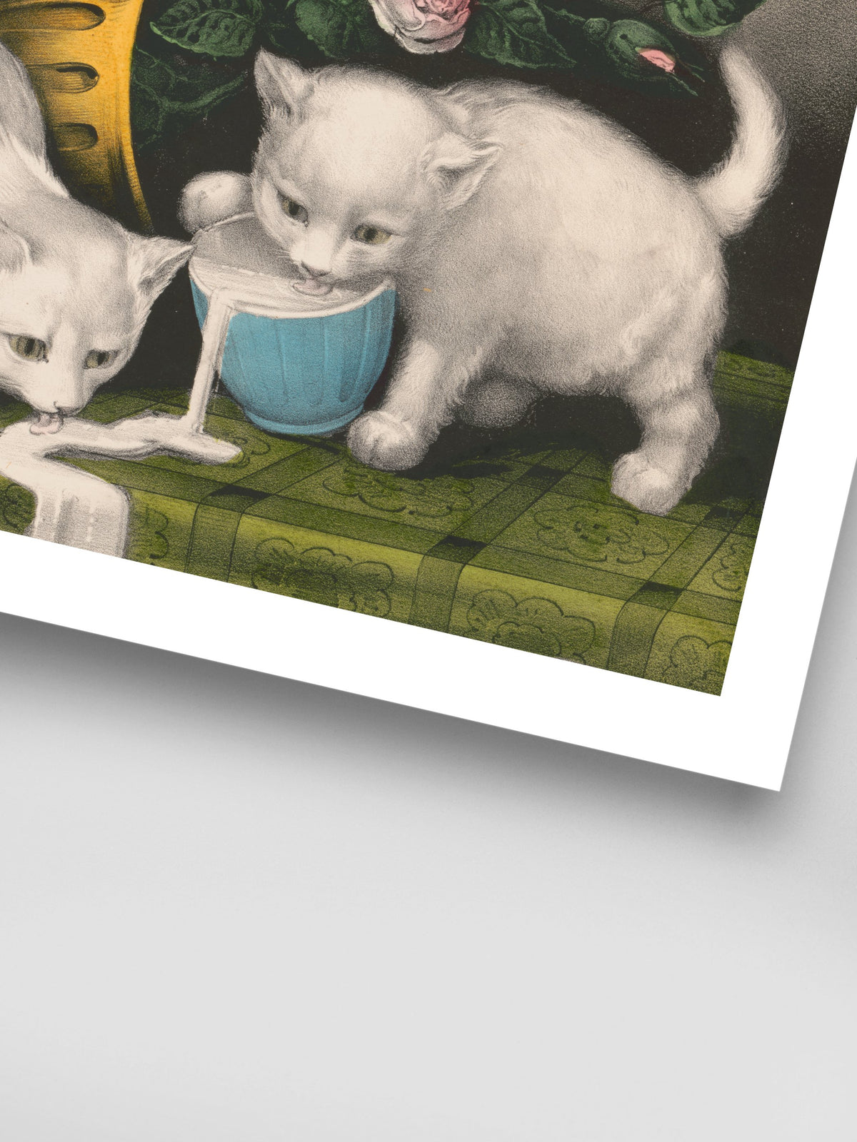 Little white kitties; into mischief
