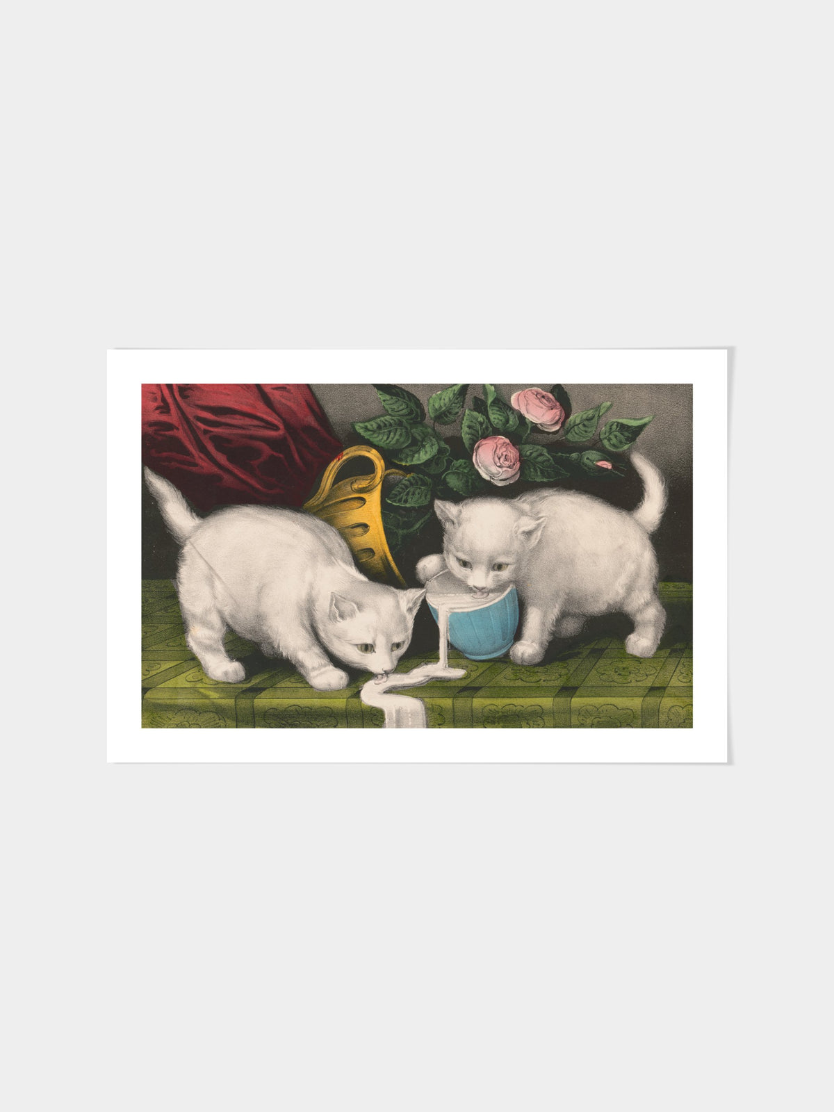 Little white kitties; into mischief
