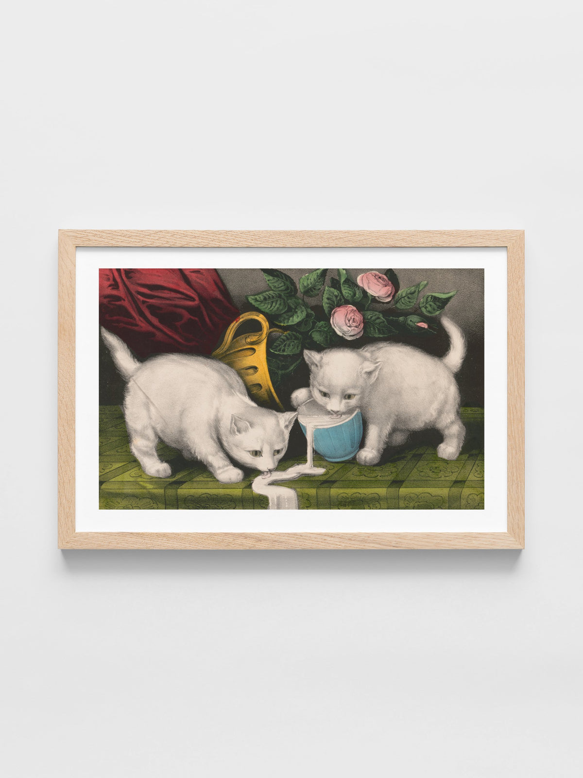 Little white kitties; into mischief