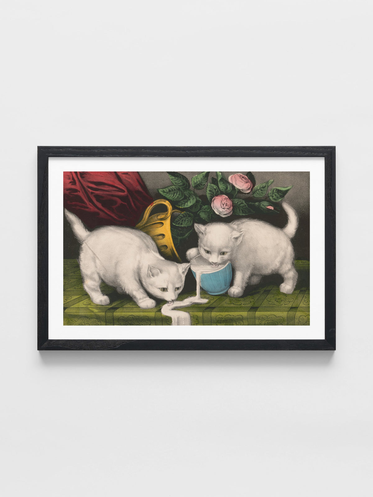 Little white kitties; into mischief