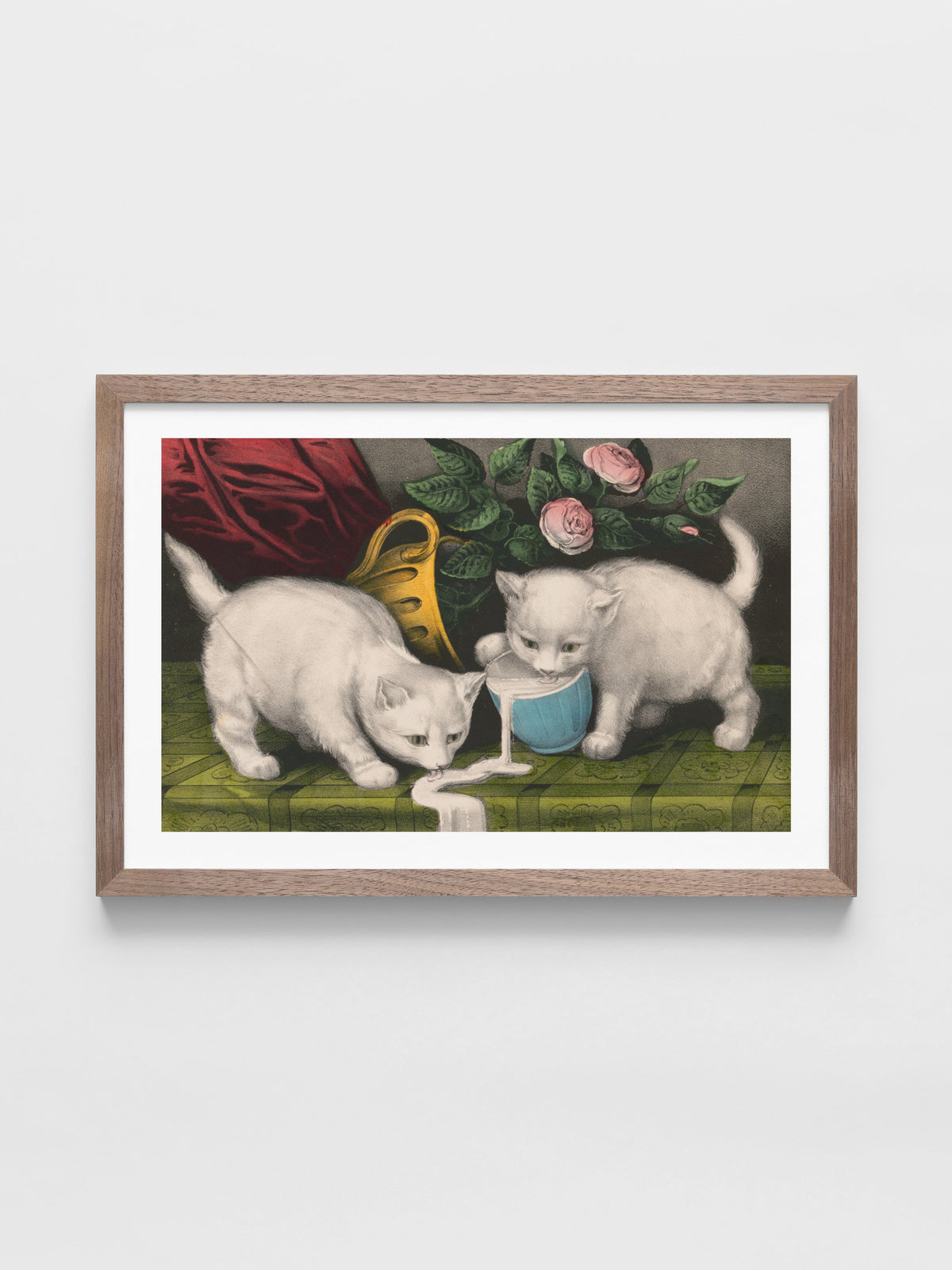 Little white kitties; into mischief