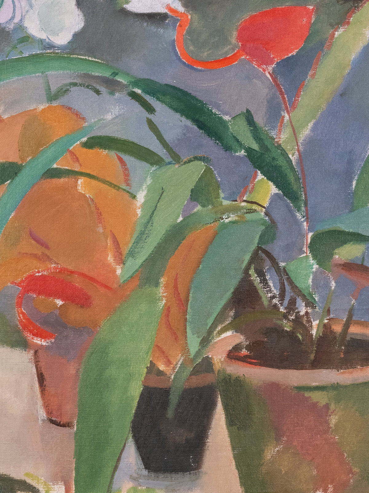 Potted Plants