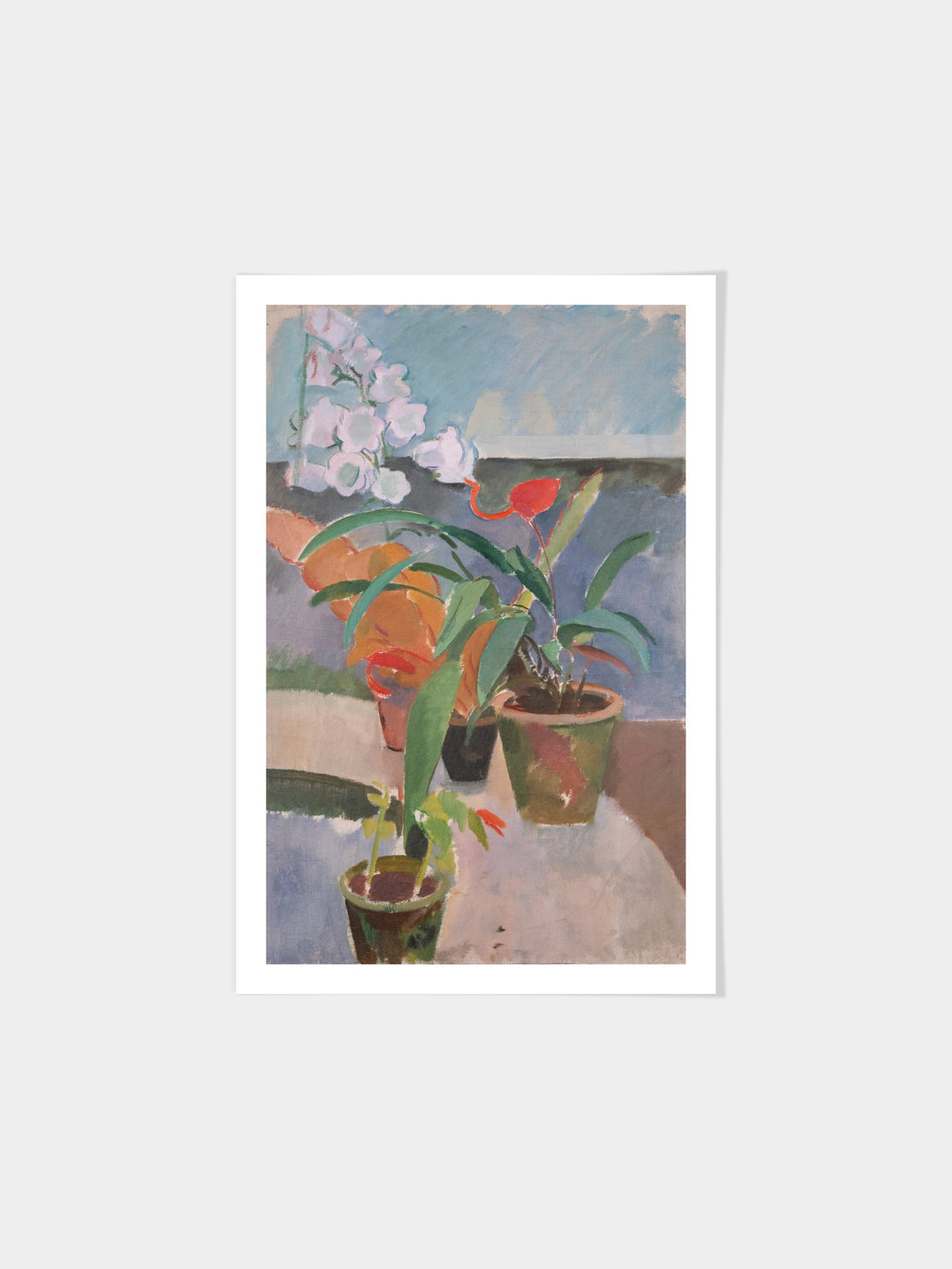 Potted Plants