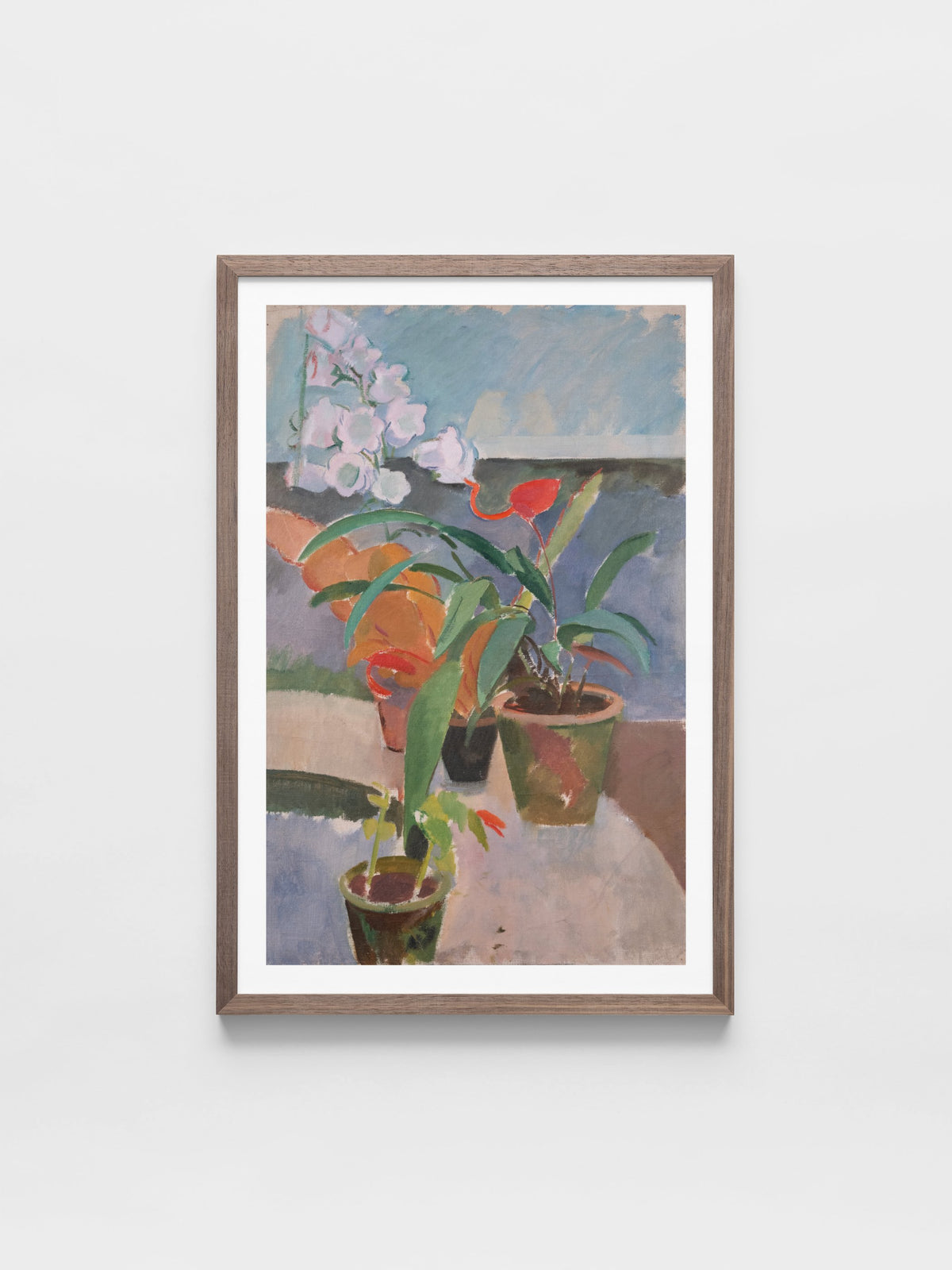 Potted Plants