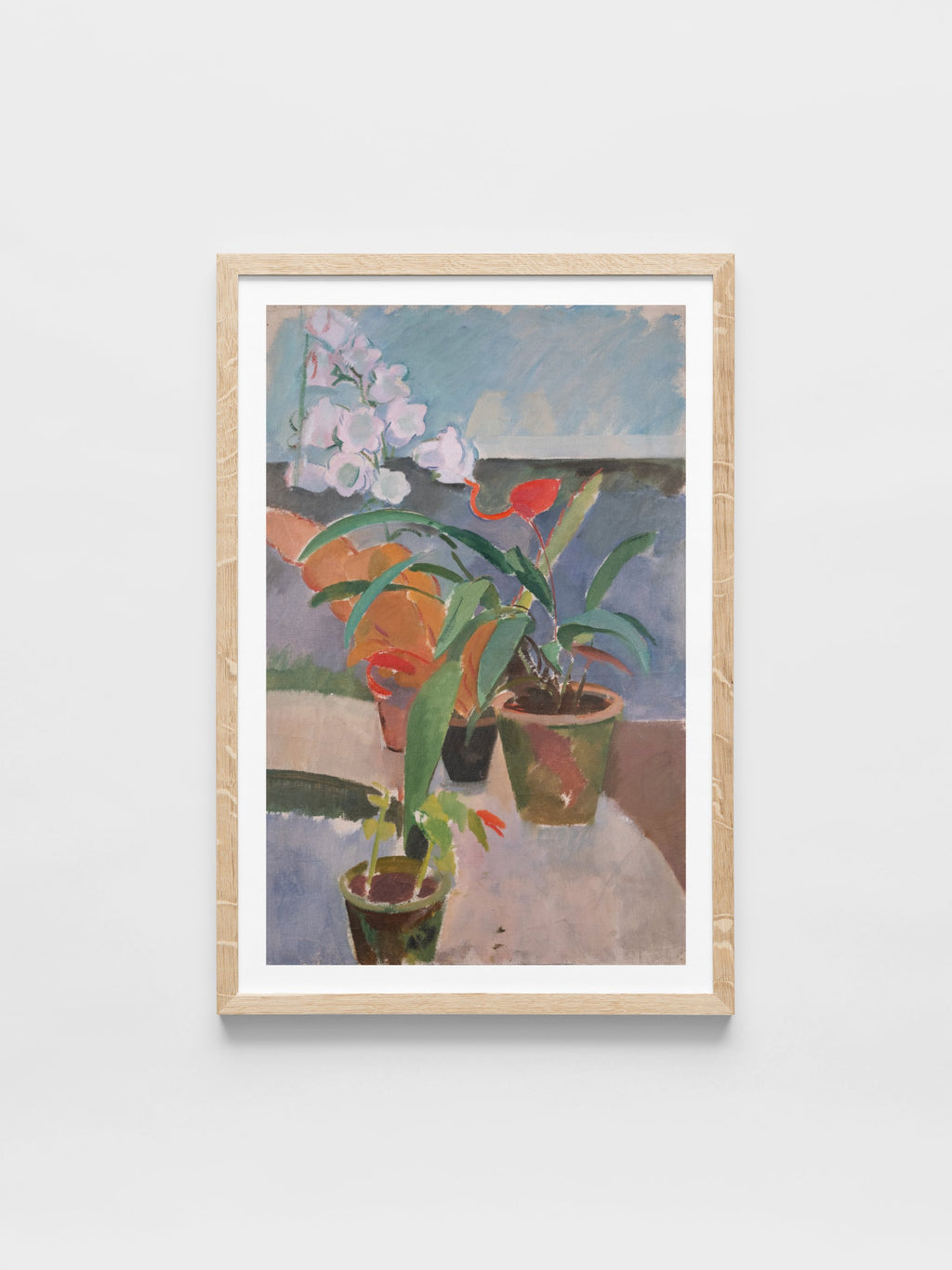 Potted Plants