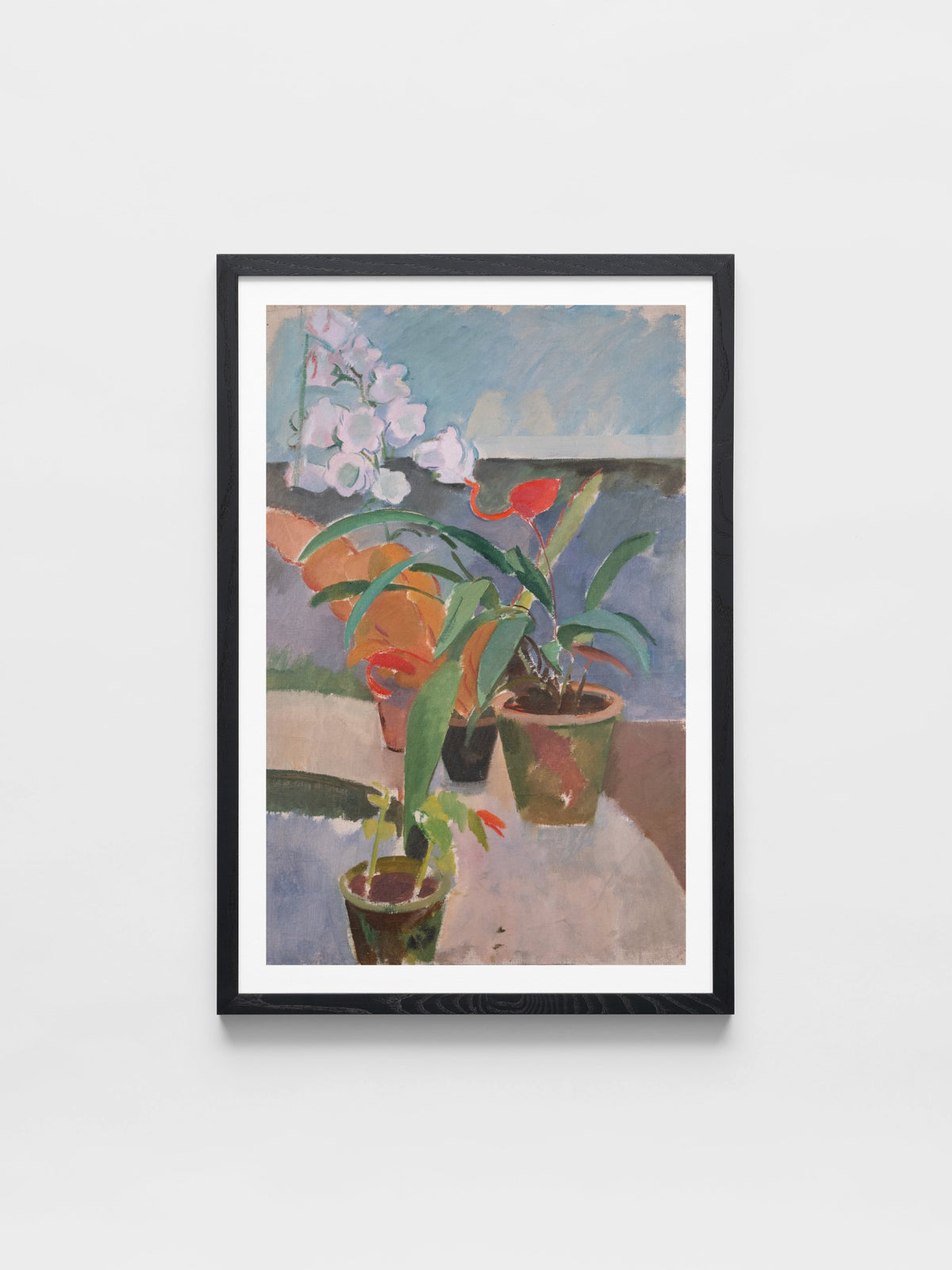 Potted Plants