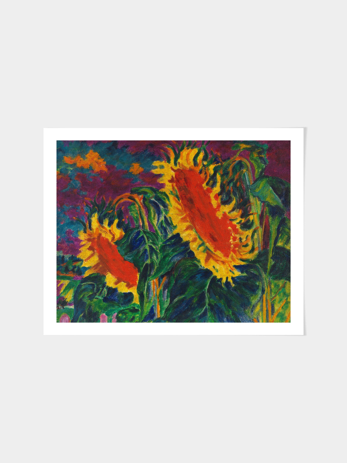 Zwei Sonnenblumen
