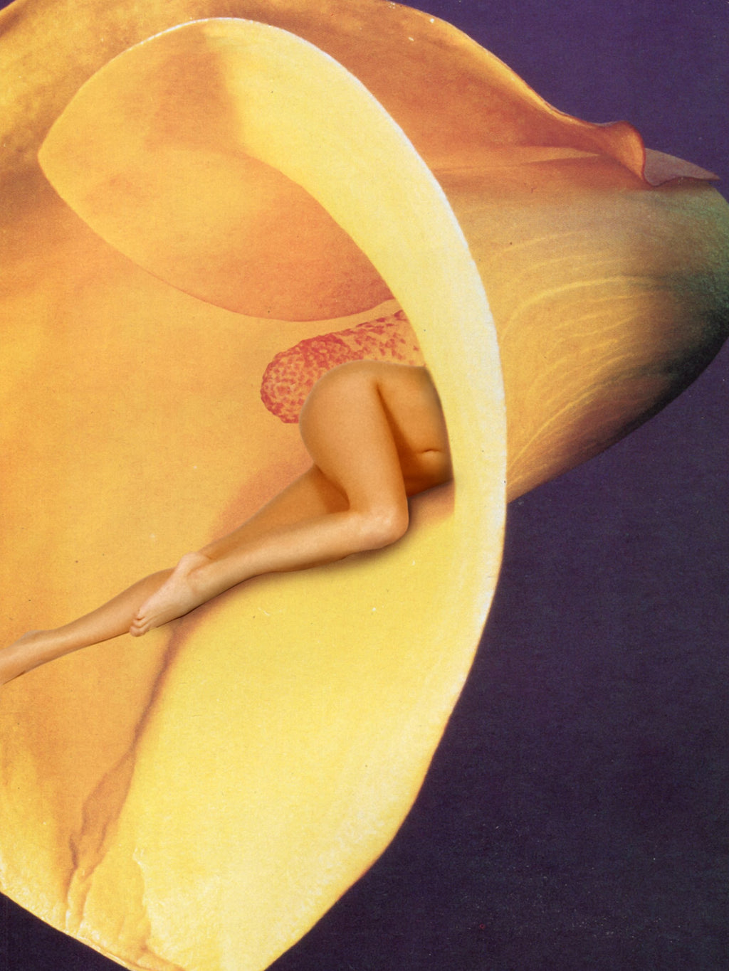 In Bloom