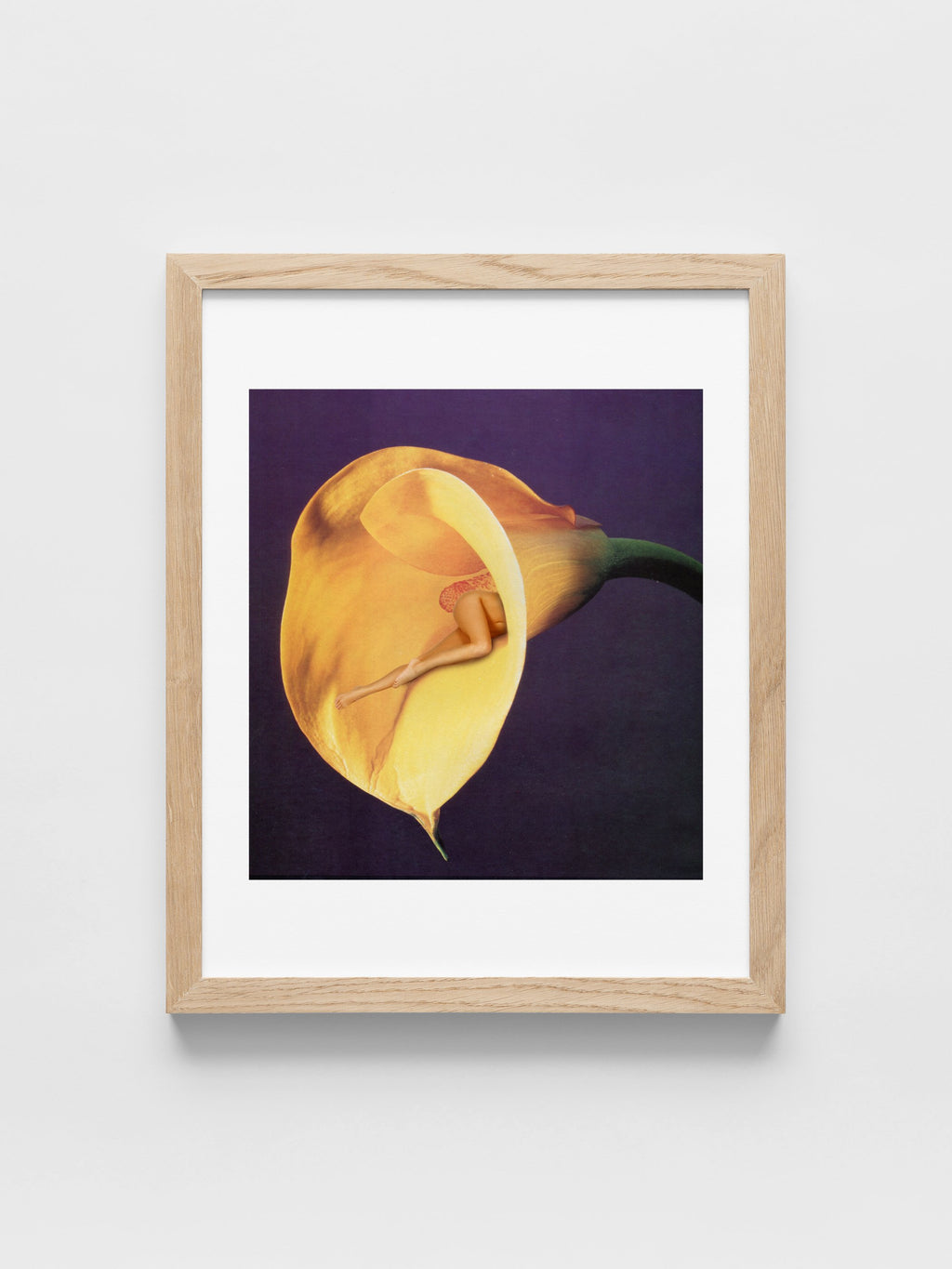In Bloom