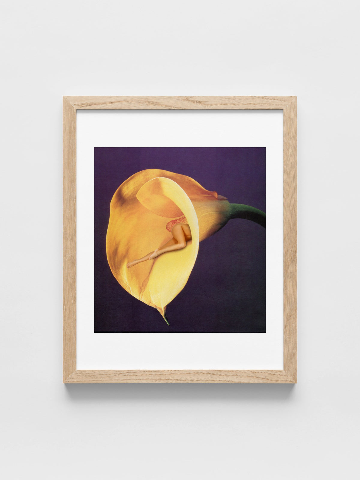 In Bloom