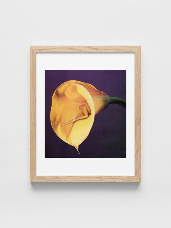 In Bloom