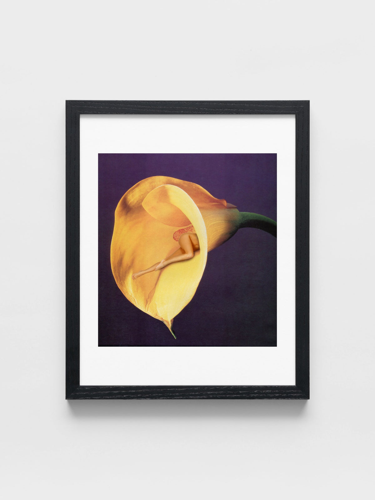 In Bloom