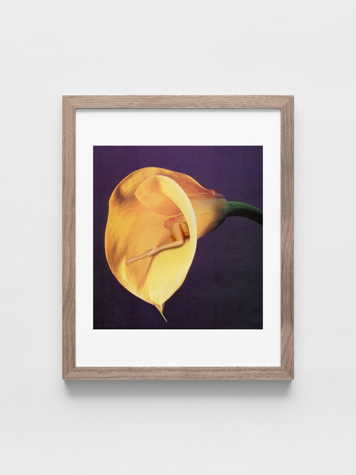In Bloom