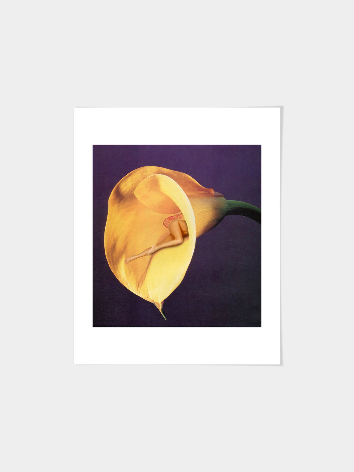 In Bloom