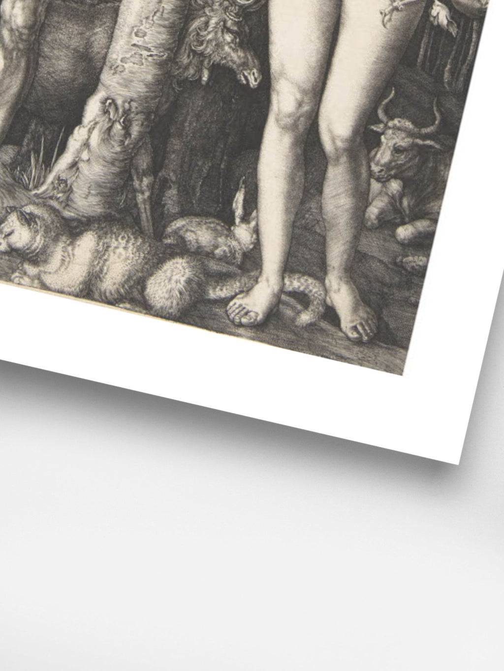 Albrecht Durer - Adam and Eve