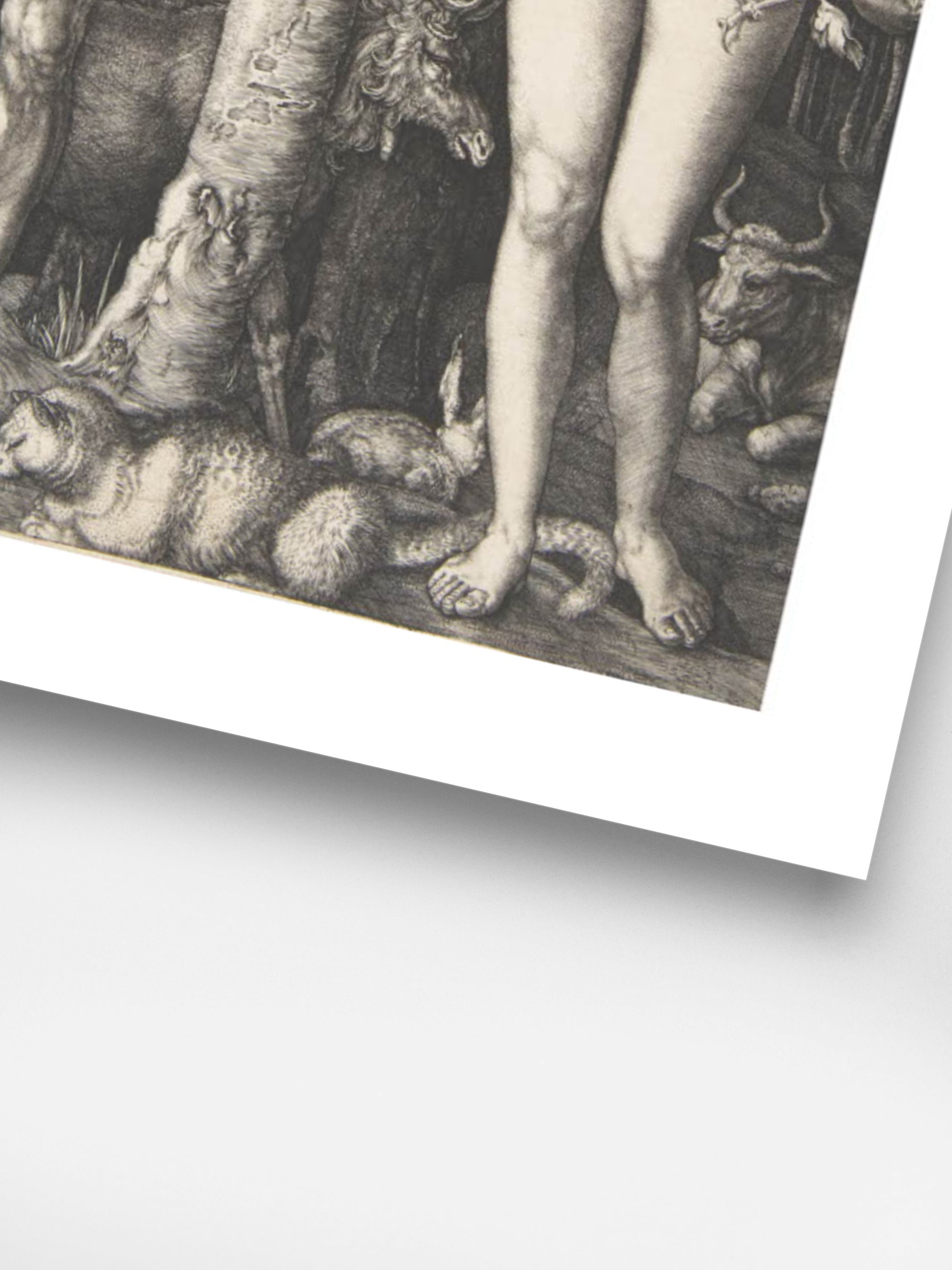 Albrecht Durer - Adam and Eve