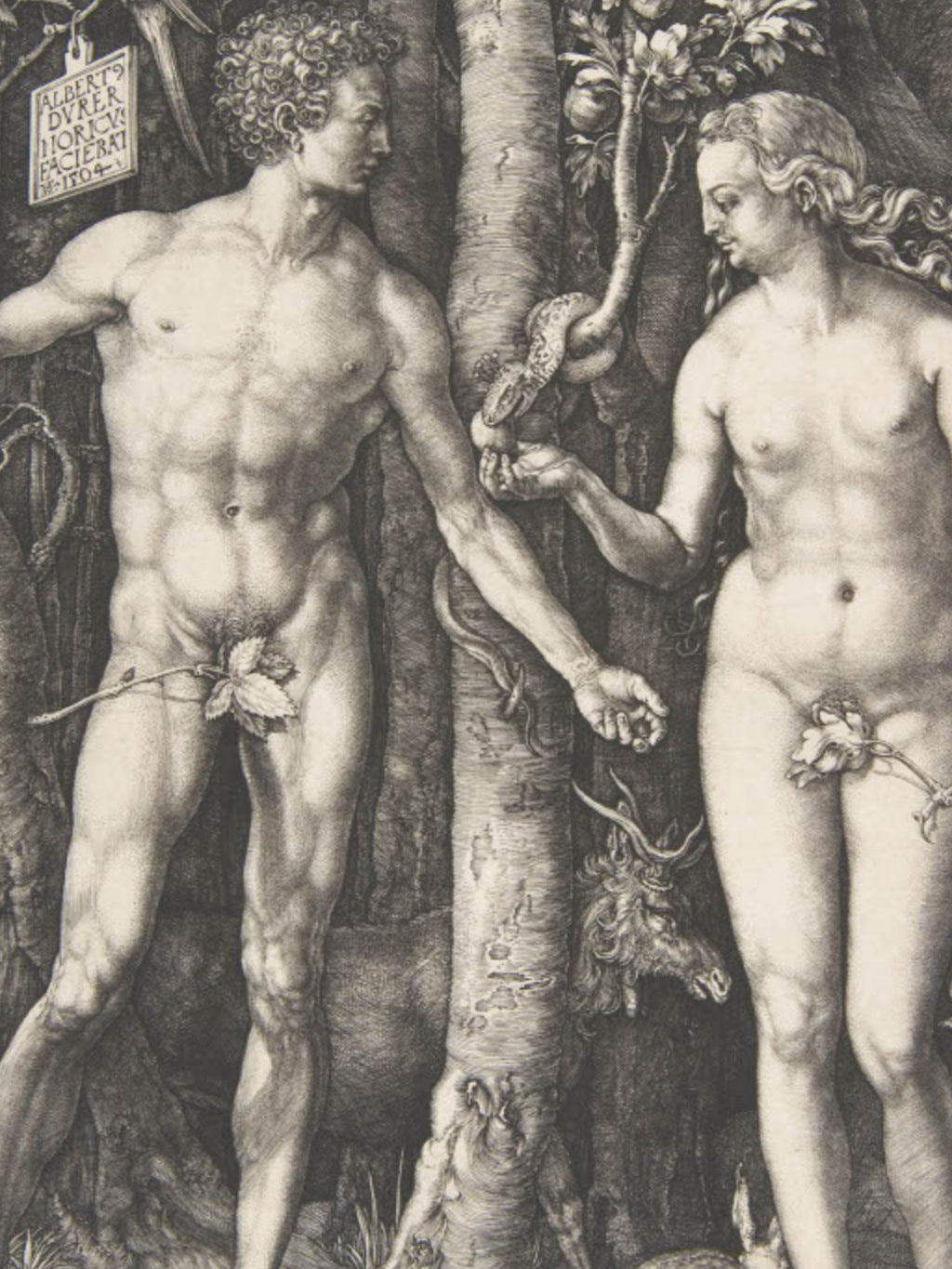 Albrecht Durer - Adam and Eve