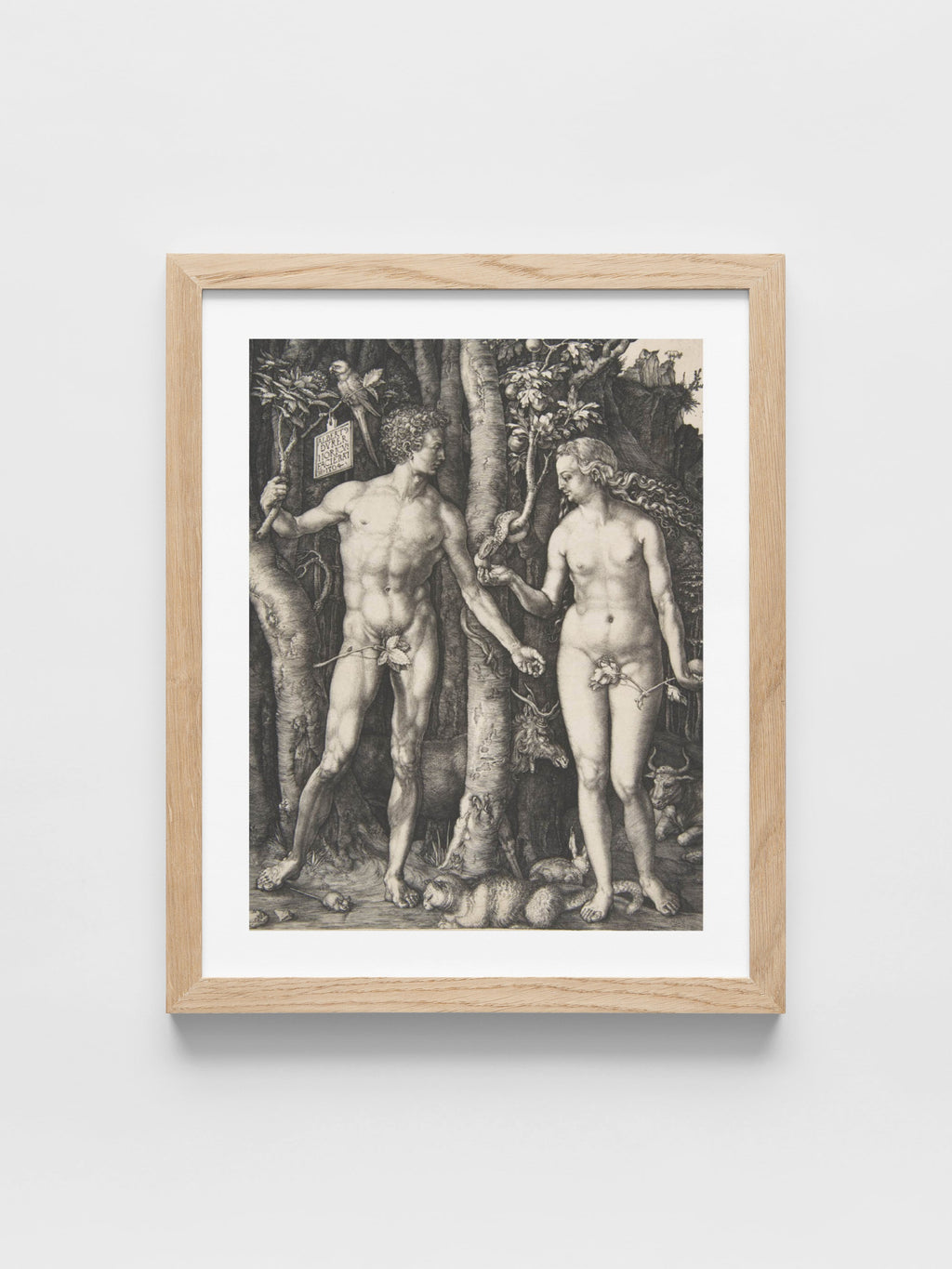 Albrecht Durer - Adam and Eve