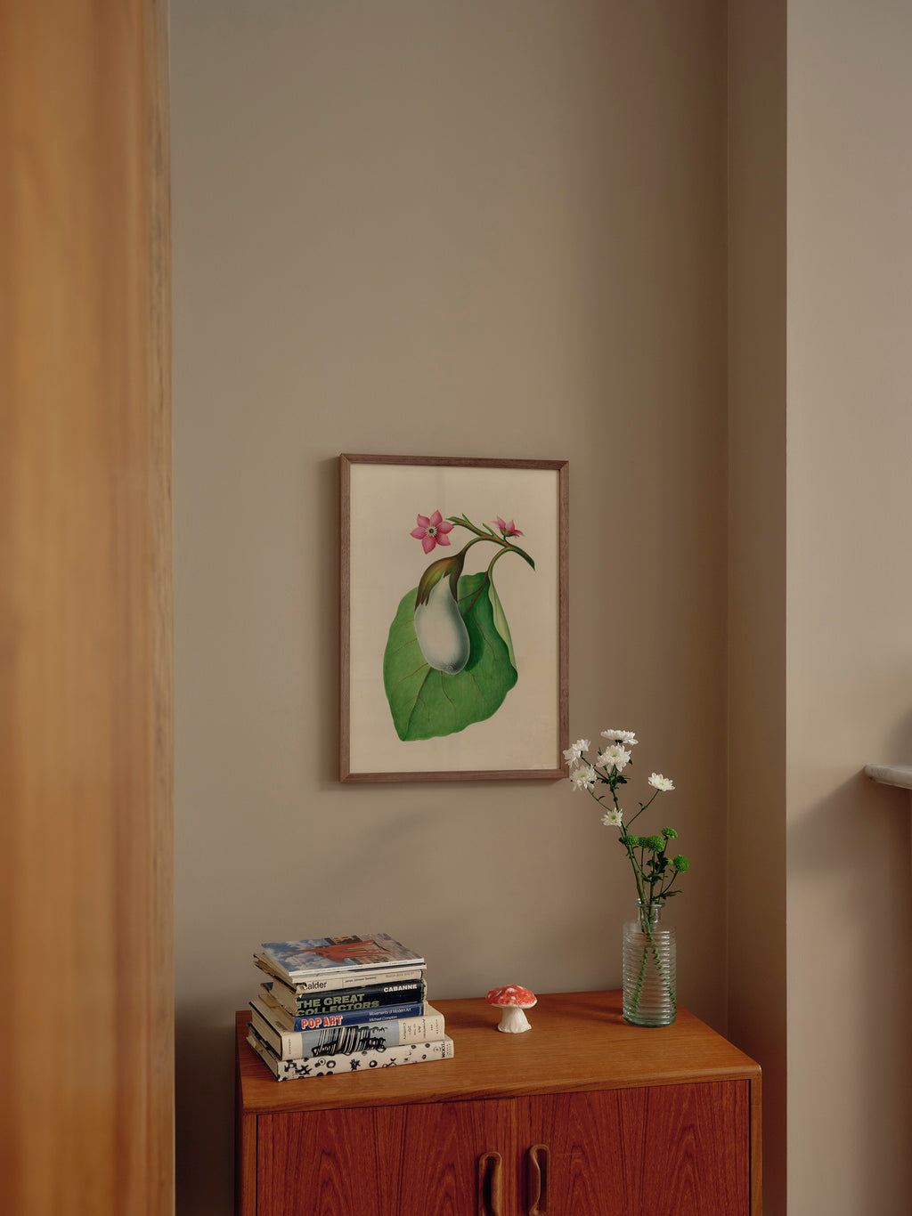 Drawings of tropical flowers and fruits, from South America, 07