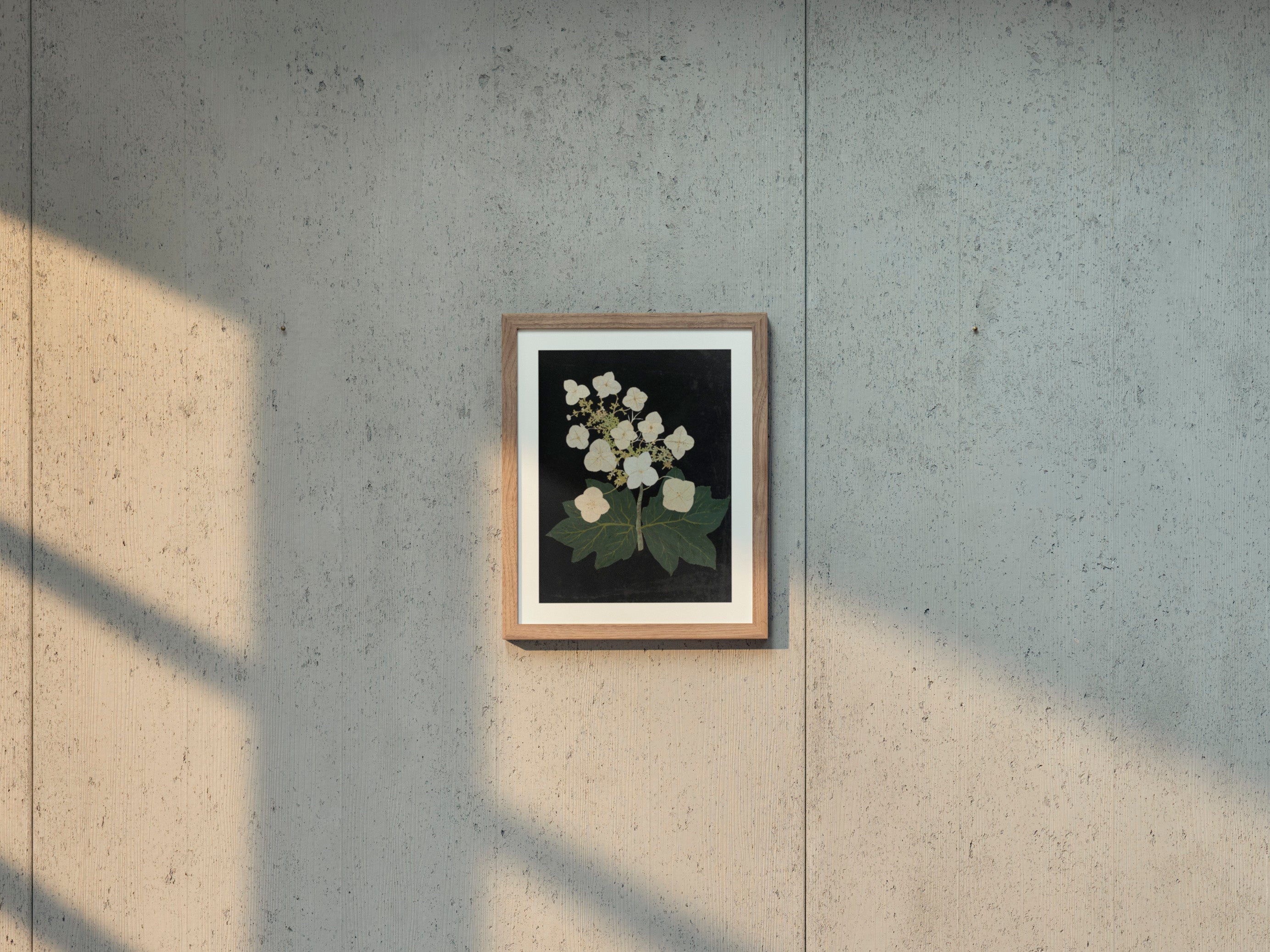 Ellen W. - Cut-paper flowers, 22