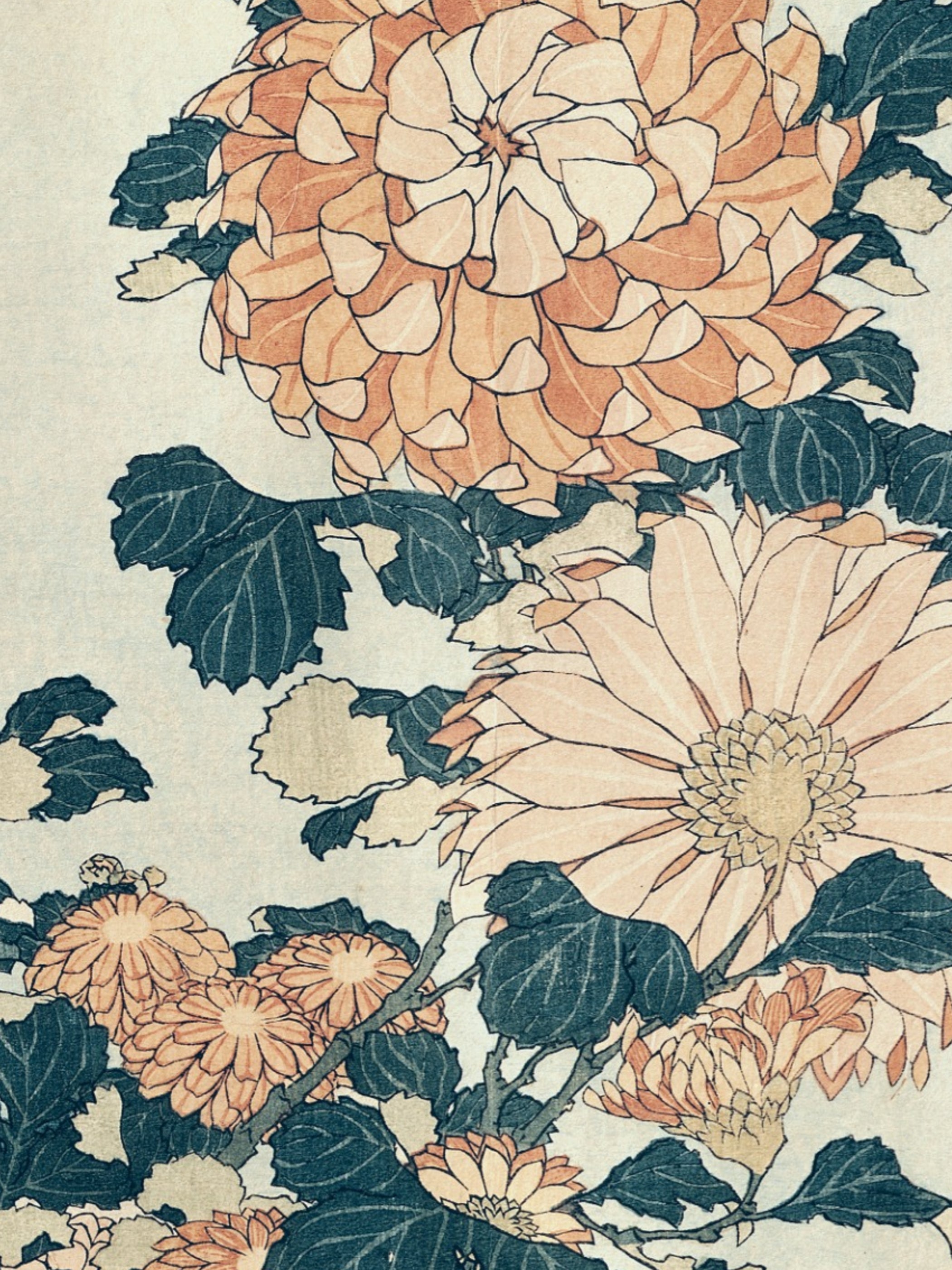 Katsushika Hokusai - Chrysanthemums