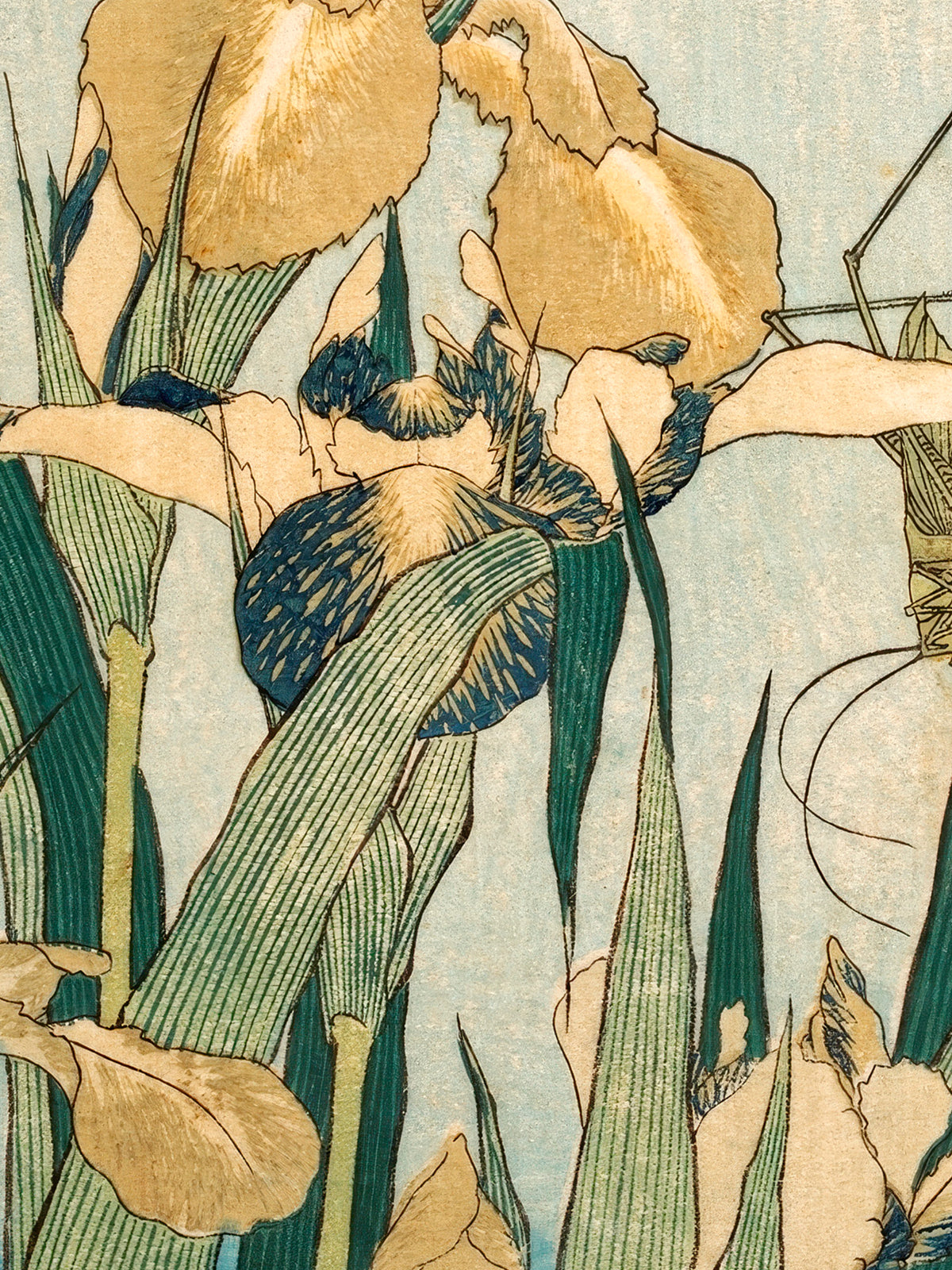 Irises with a Grasshopper