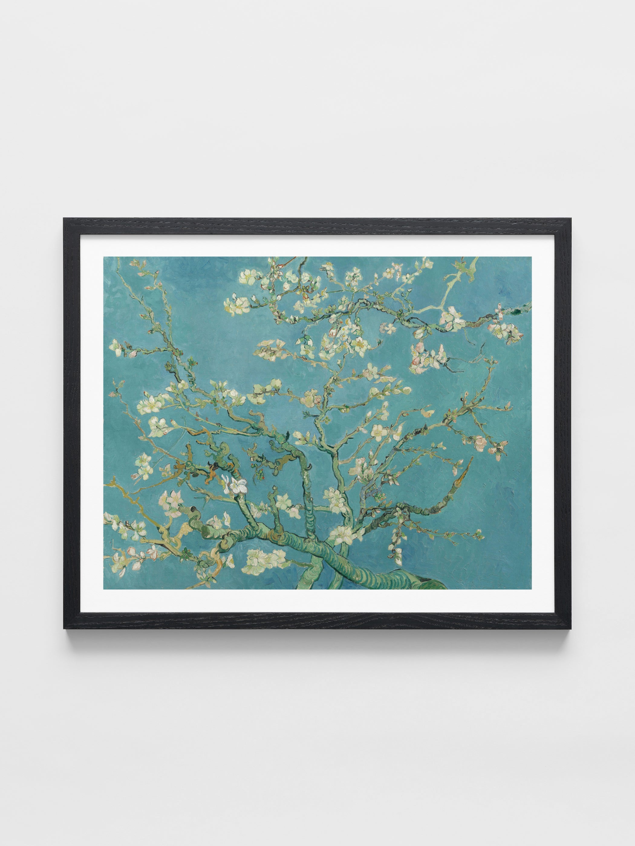Vincent Van Gogh - Almond Blossom
