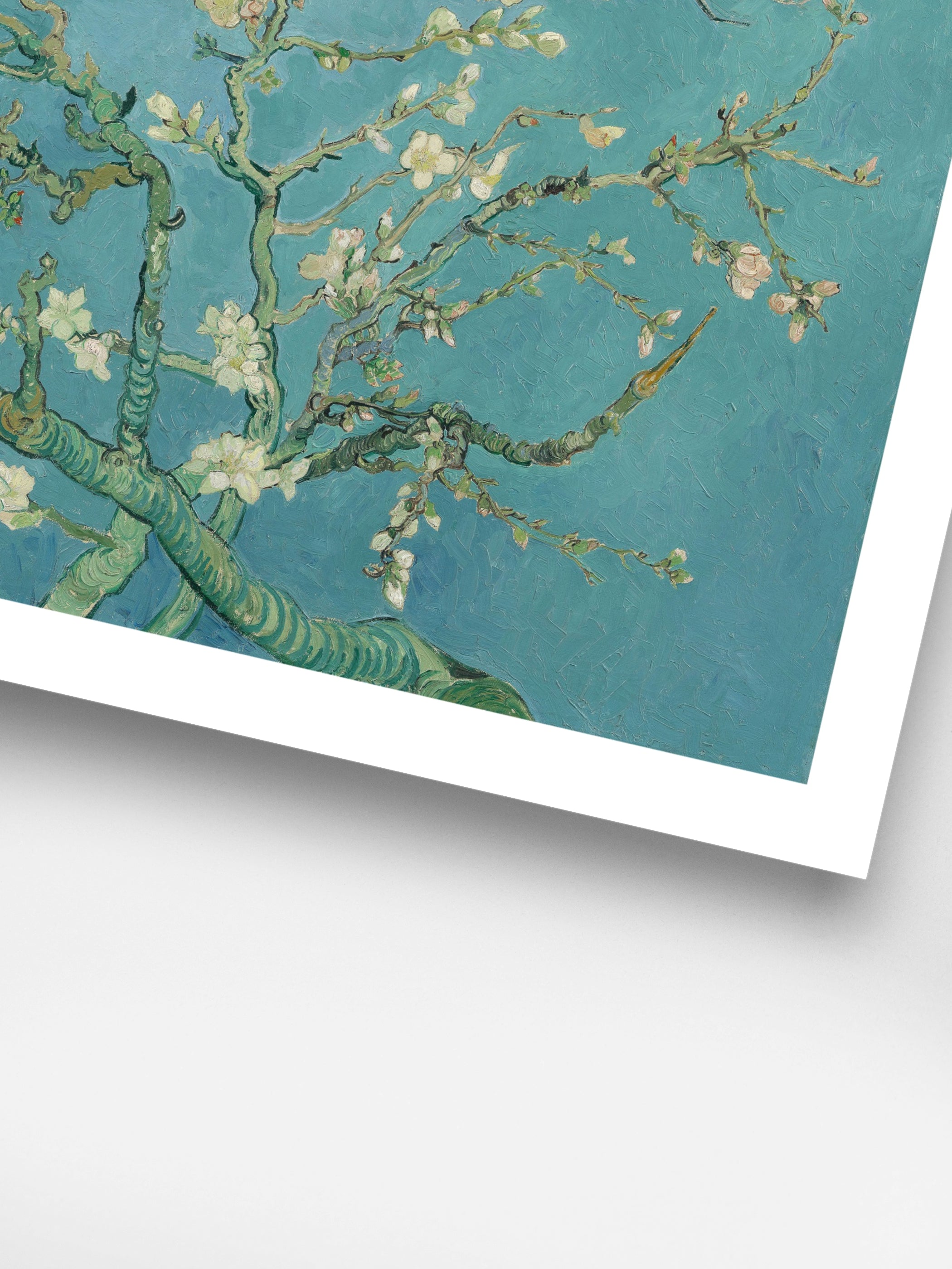 Vincent Van Gogh - Almond Blossom