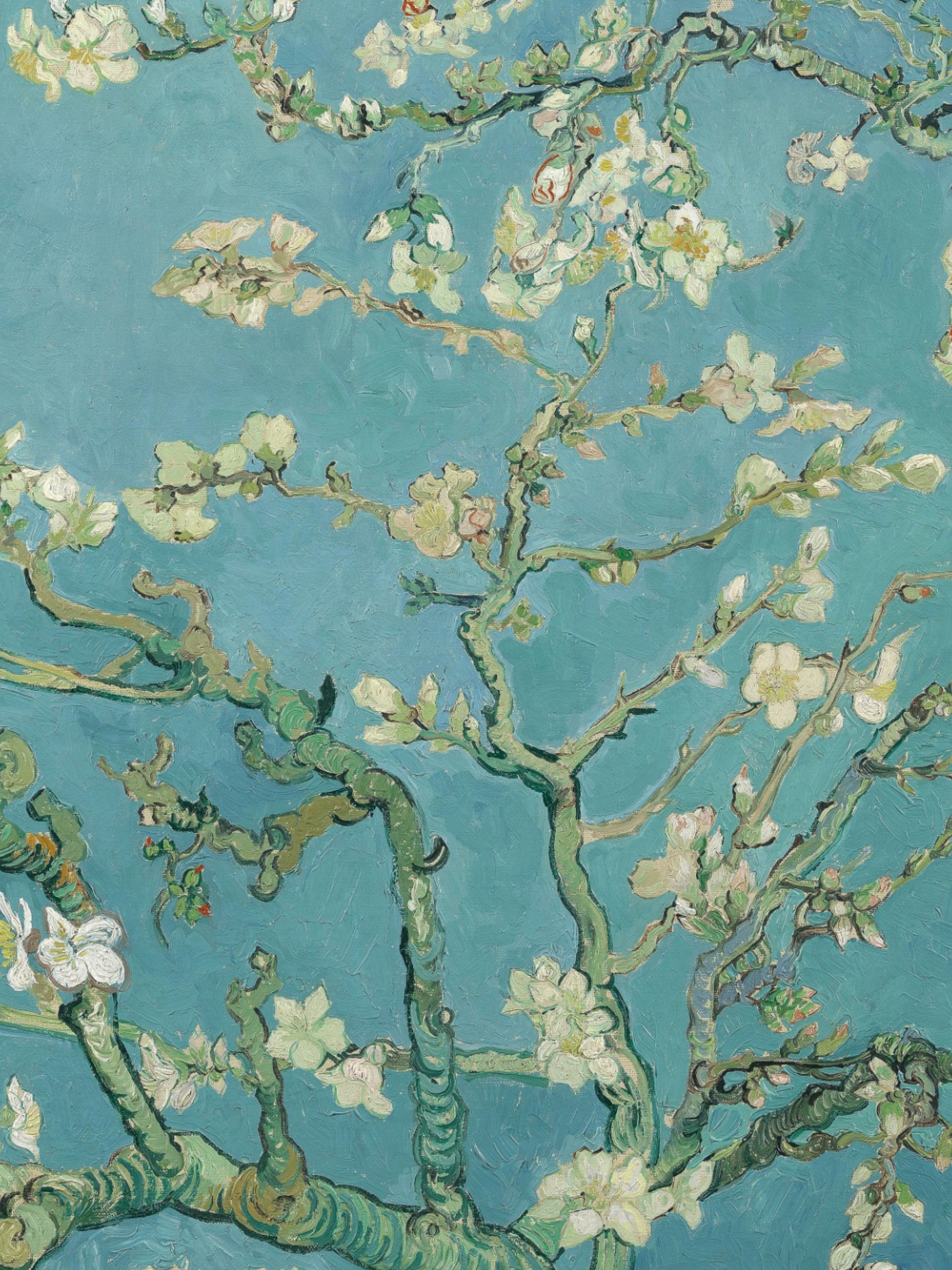 Vincent Van Gogh - Almond Blossom