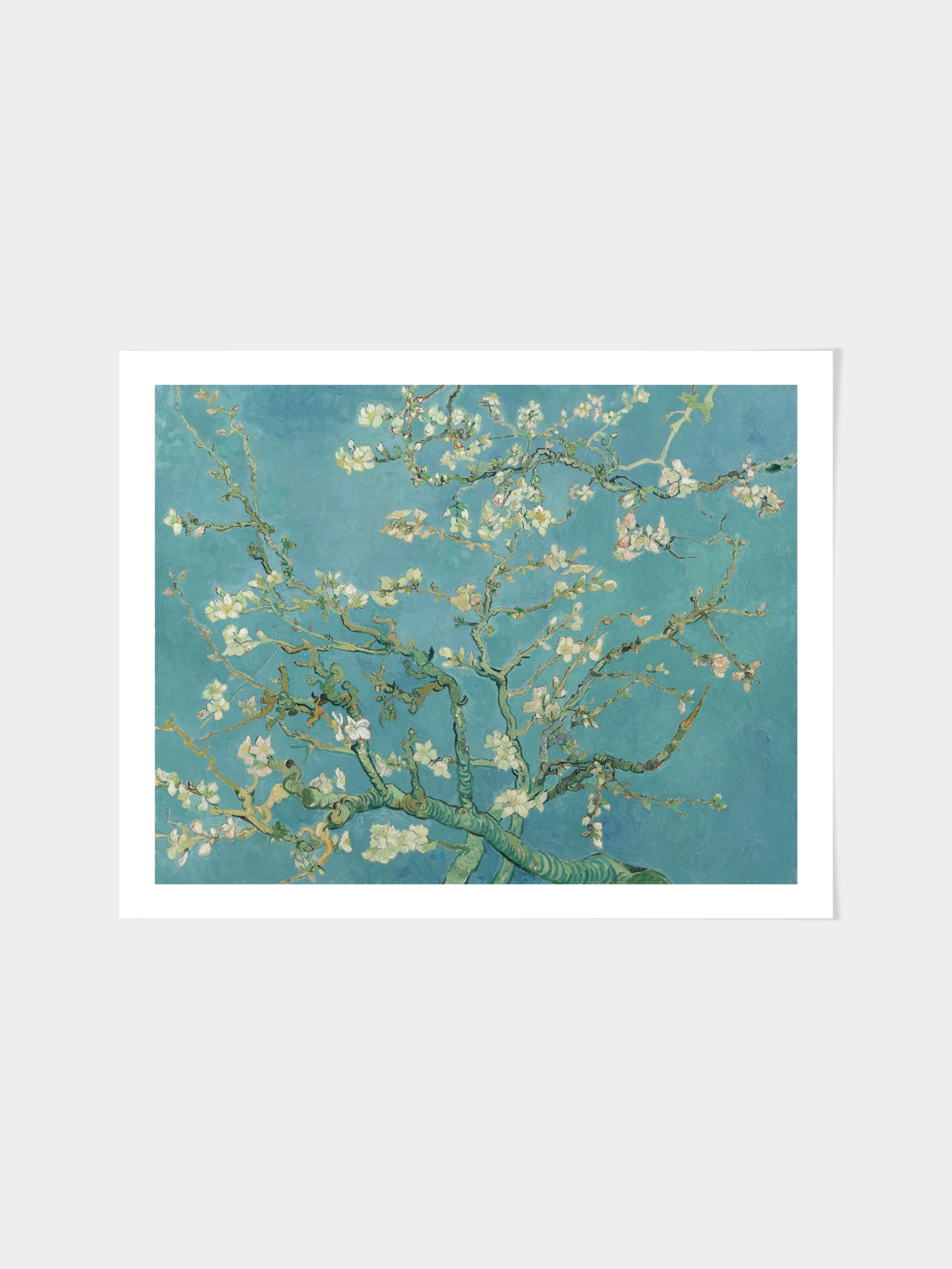 Vincent Van Gogh - Almond Blossom