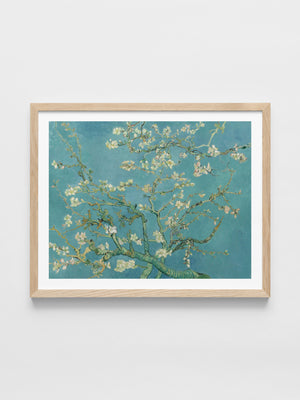 Vincent Van Gogh - Almond Blossom