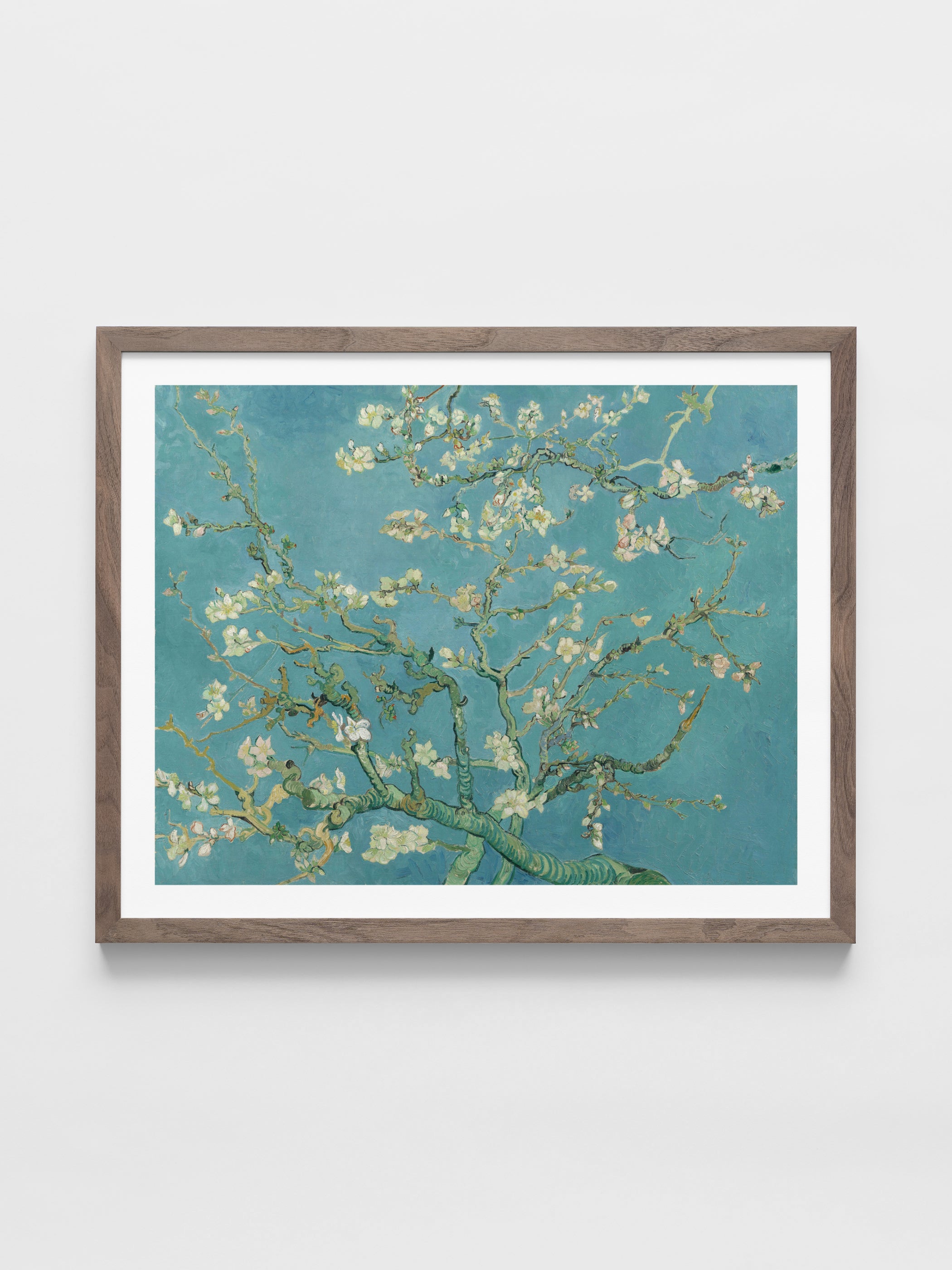 Vincent Van Gogh - Almond Blossom