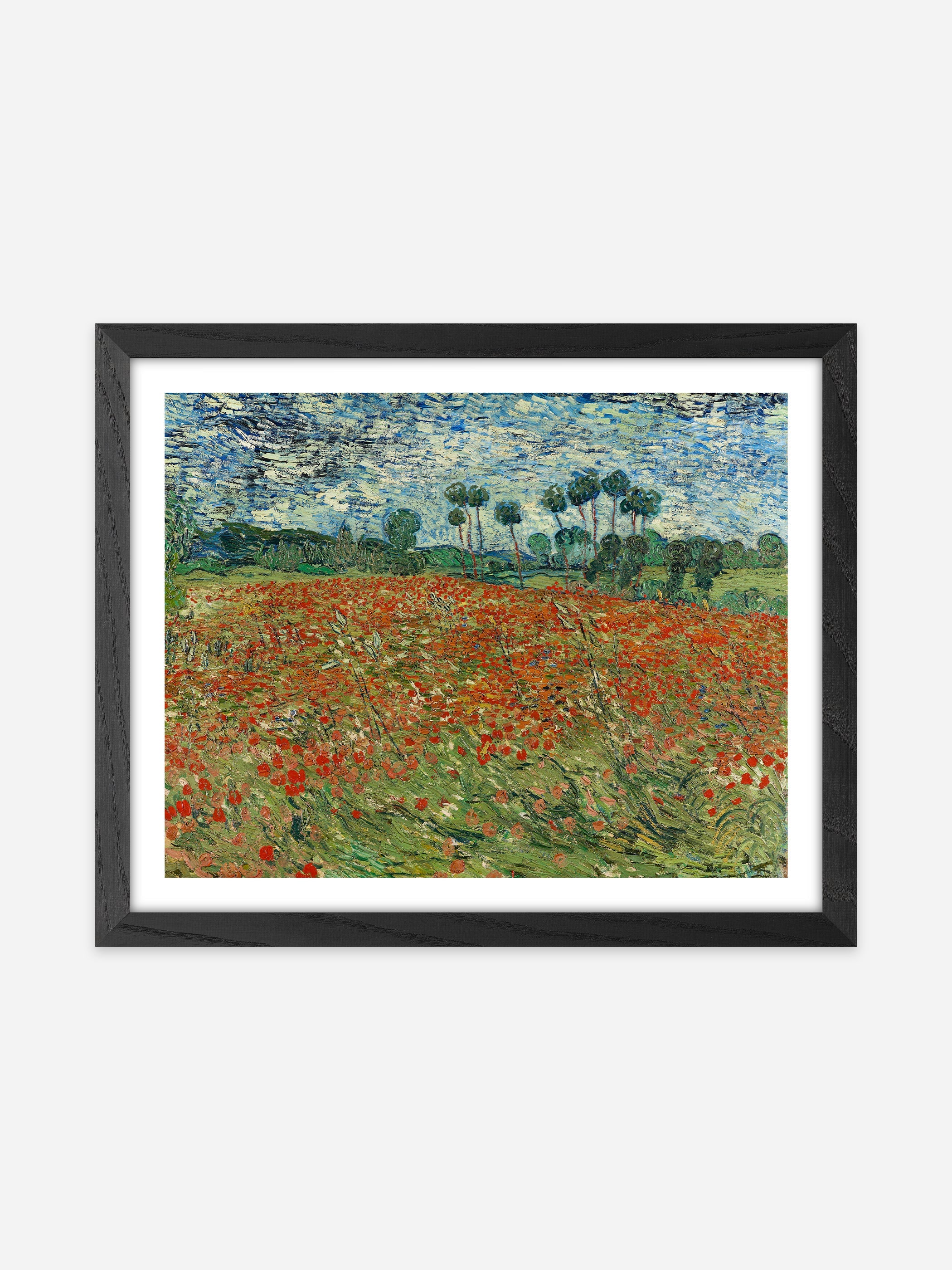 Vincent Van Gogh - Field of Poppies, Auvers-sur-Oise