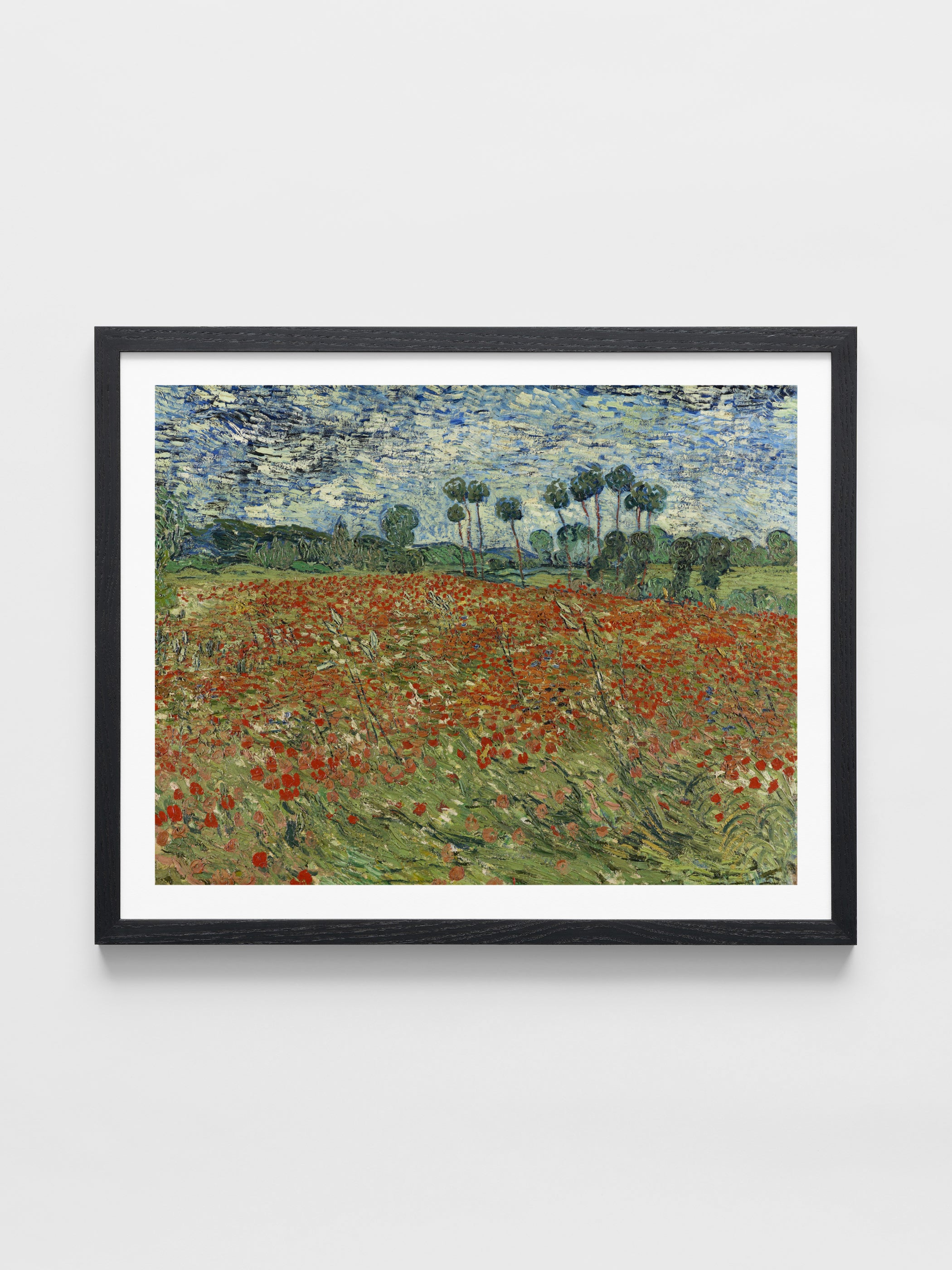 Vincent Van Gogh - Field of Poppies, Auvers-sur-Oise