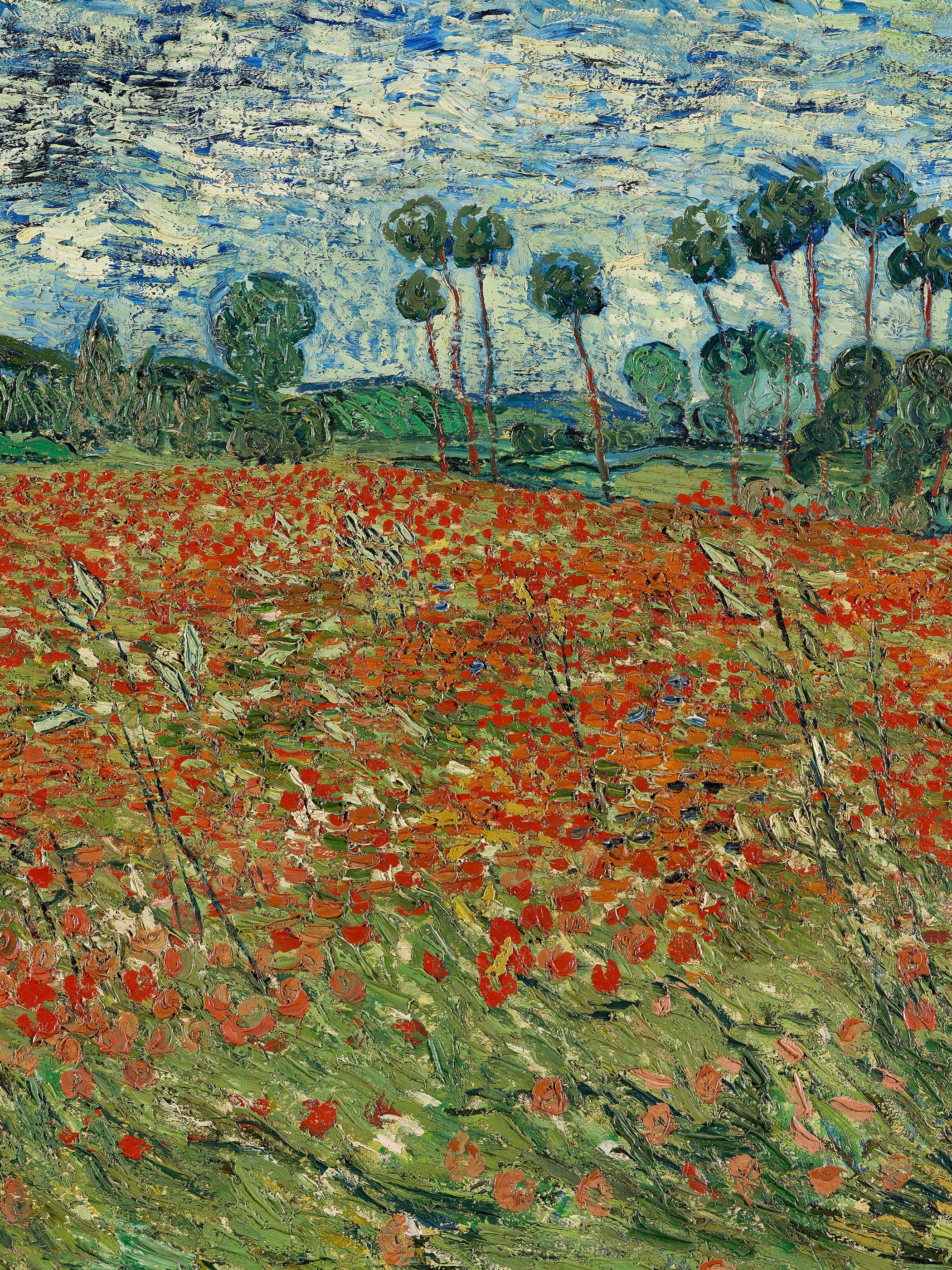 Vincent Van Gogh - Field of Poppies, Auvers-sur-Oise