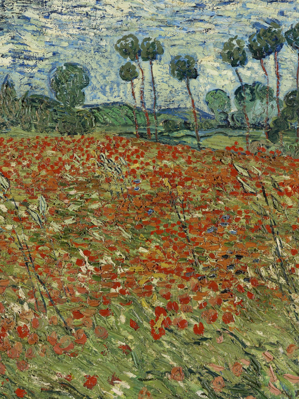 Vincent Van Gogh - Field of Poppies, Auvers-sur-Oise
