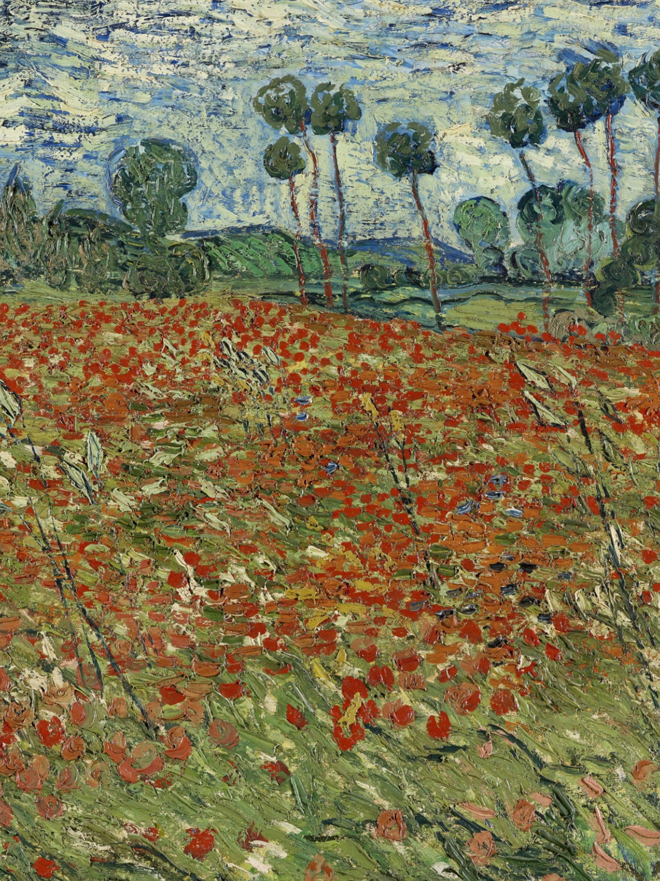 Vincent Van Gogh - Field of Poppies, Auvers-sur-Oise