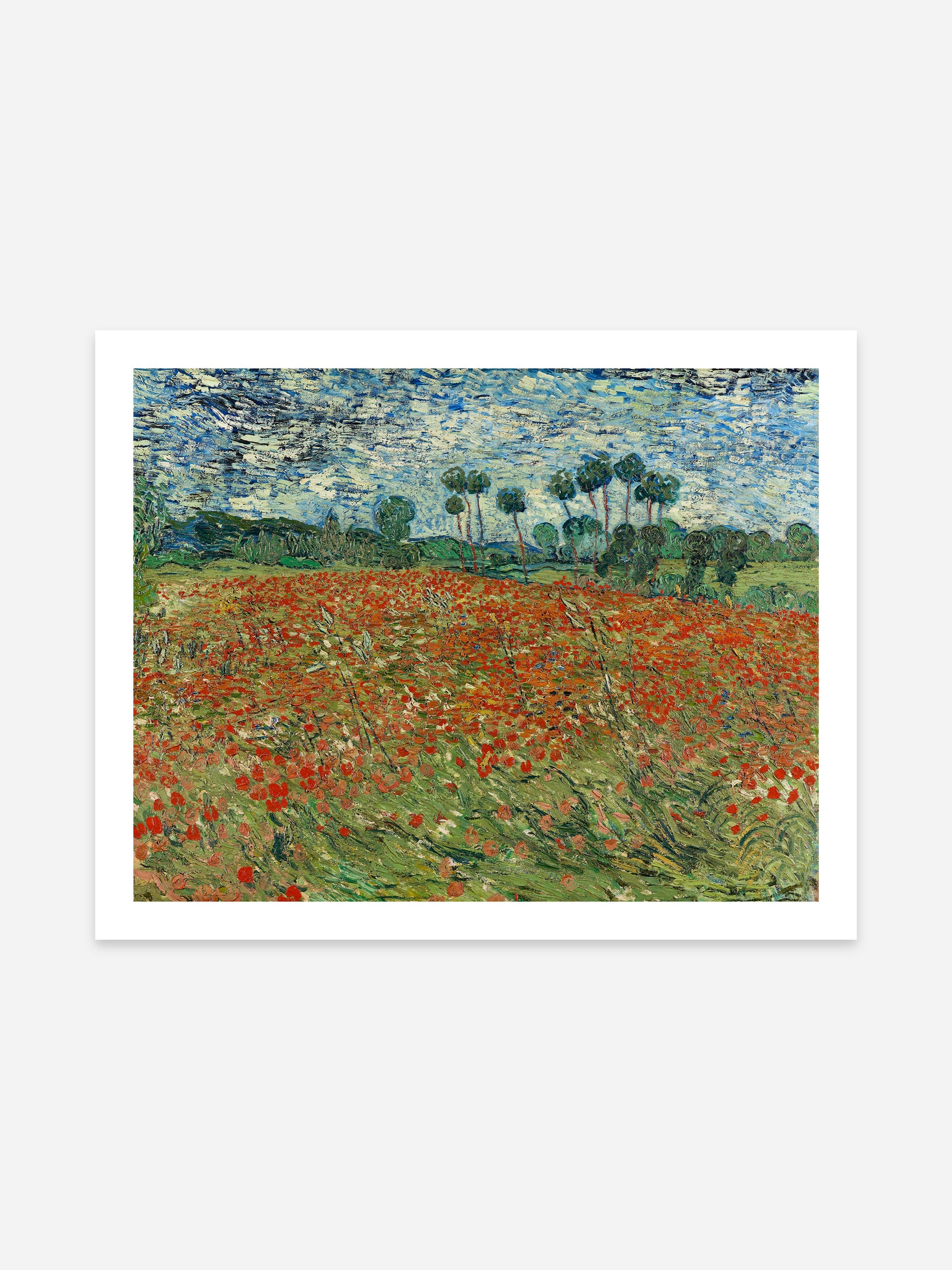 Vincent Van Gogh - Field of Poppies, Auvers-sur-Oise