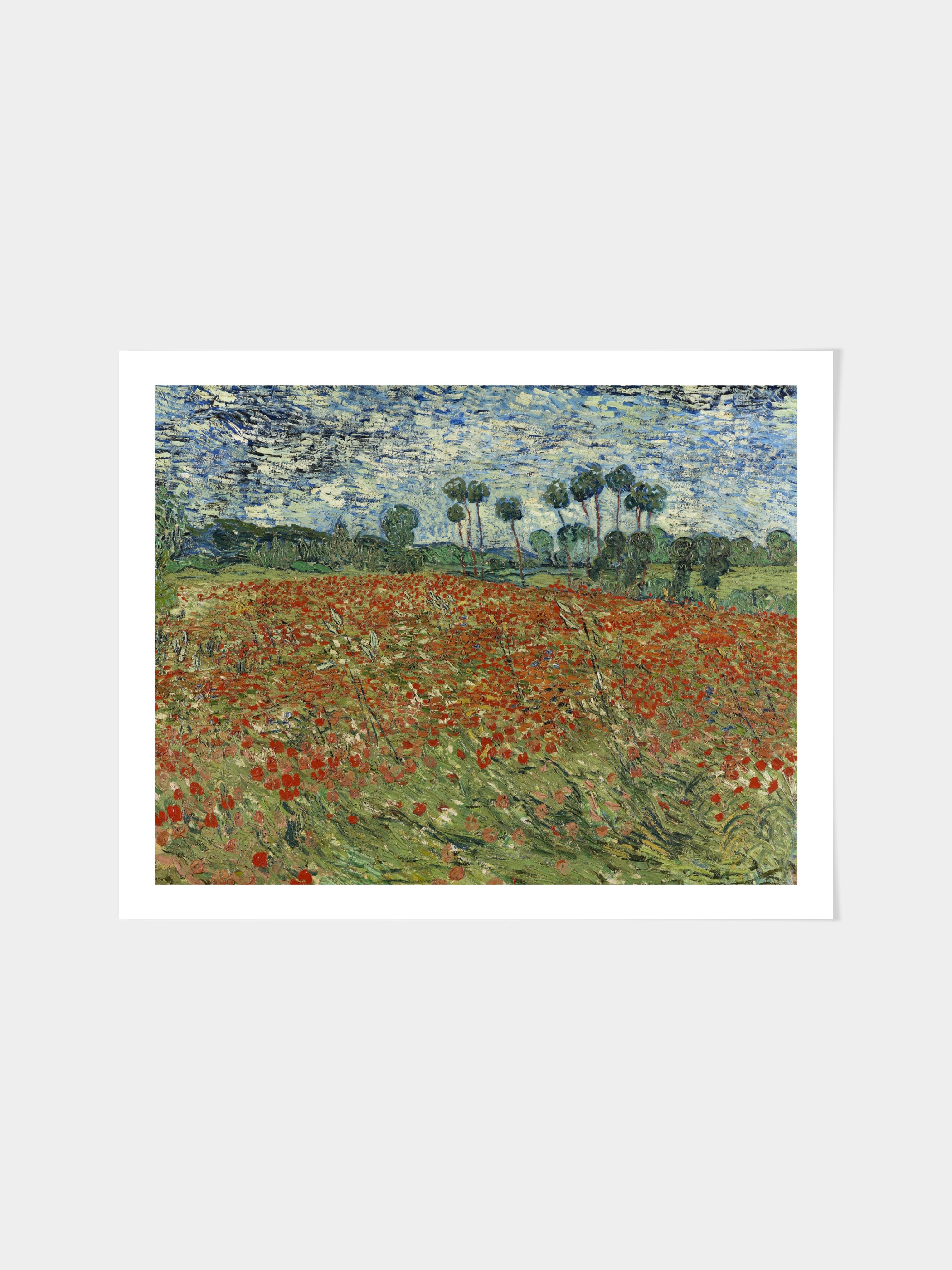 Vincent Van Gogh - Field of Poppies, Auvers-sur-Oise
